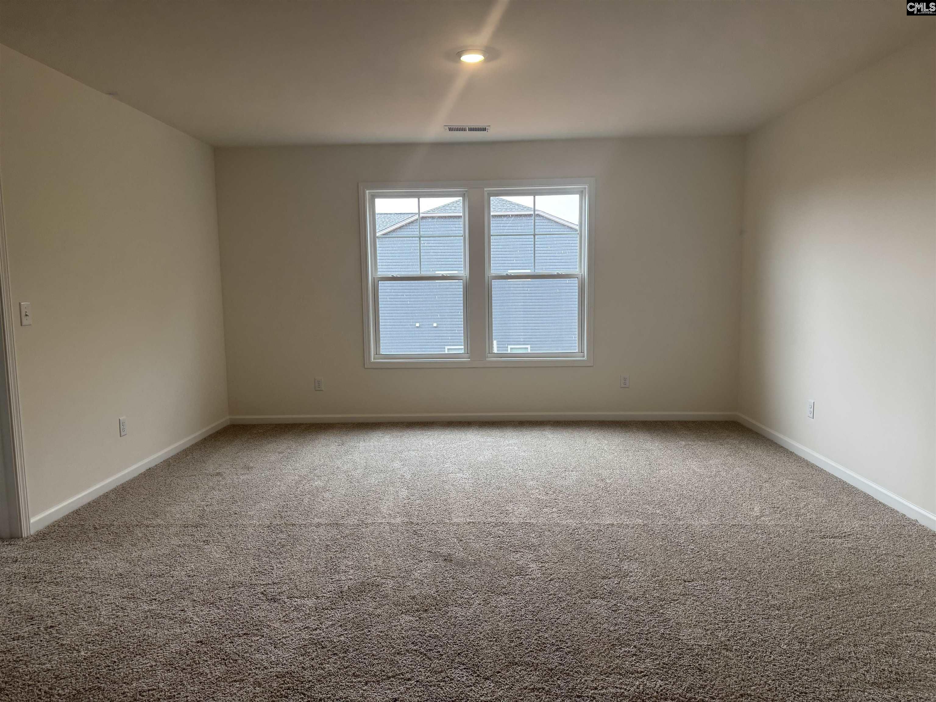 506 Griffon Drive, Chapin, South Carolina image 19
