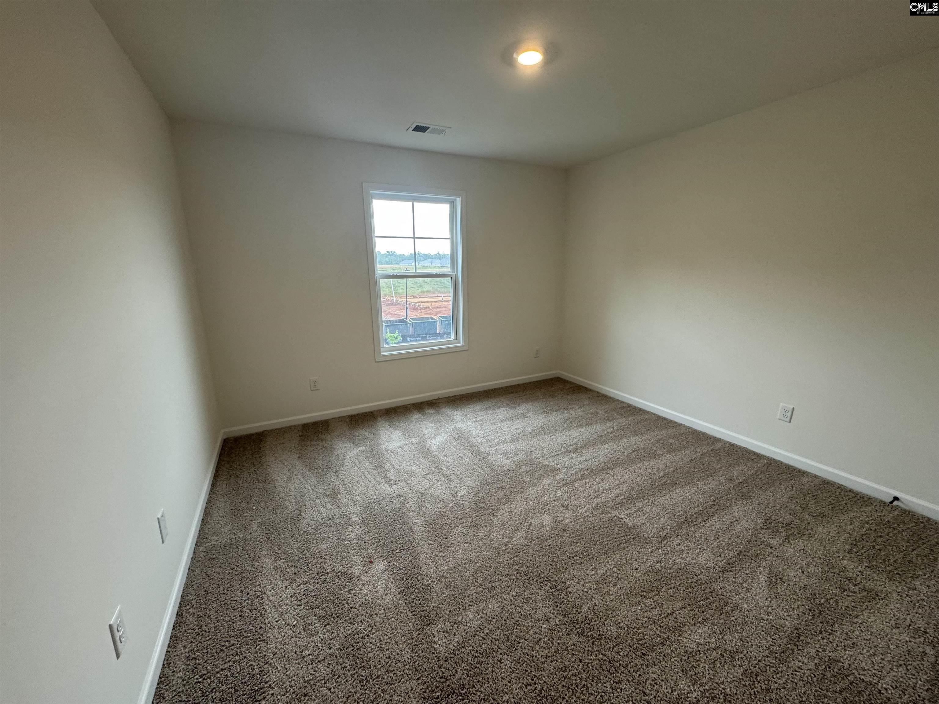 506 Griffon Drive, Chapin, South Carolina image 22