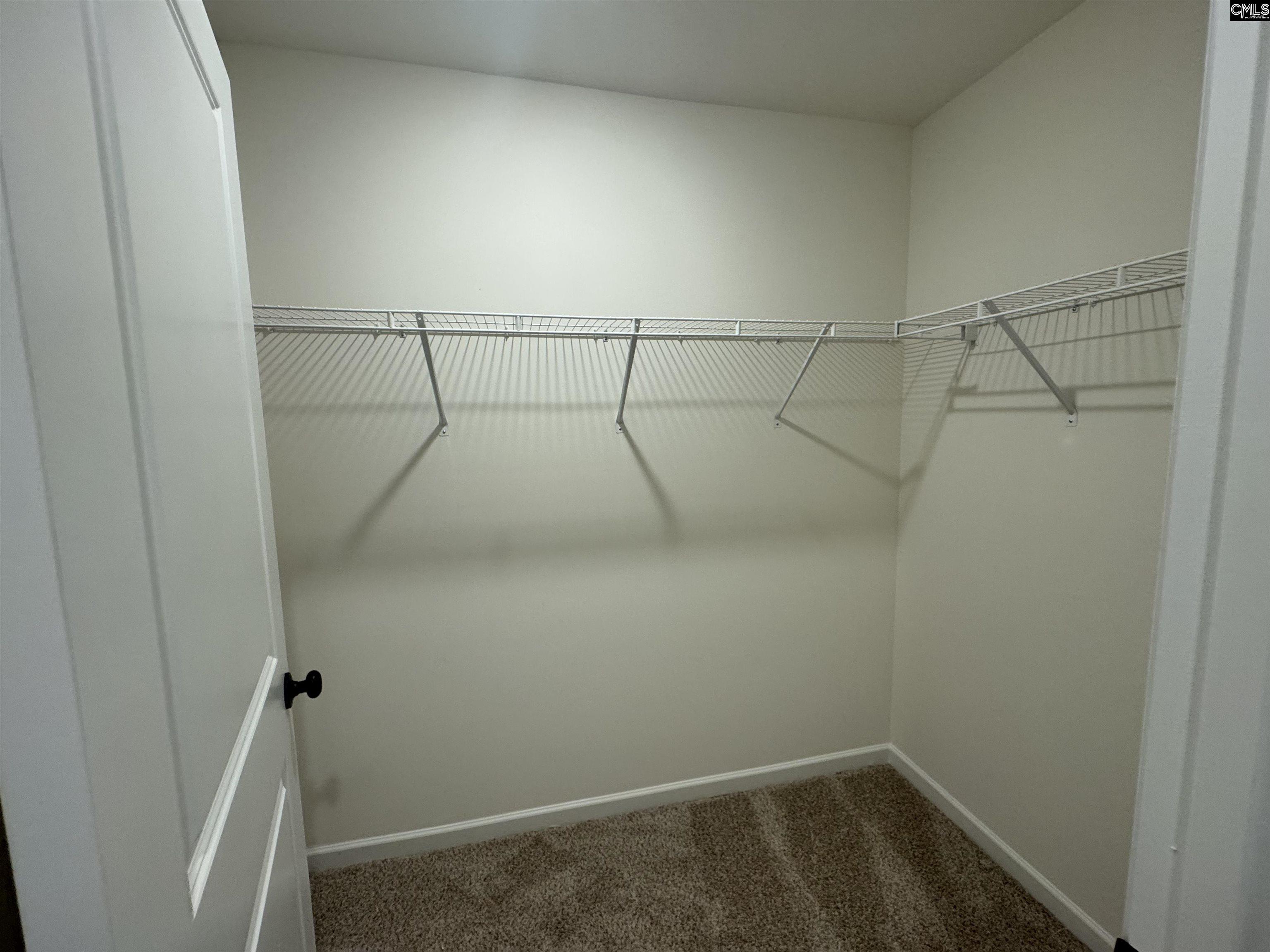 506 Griffon Drive, Chapin, South Carolina image 23