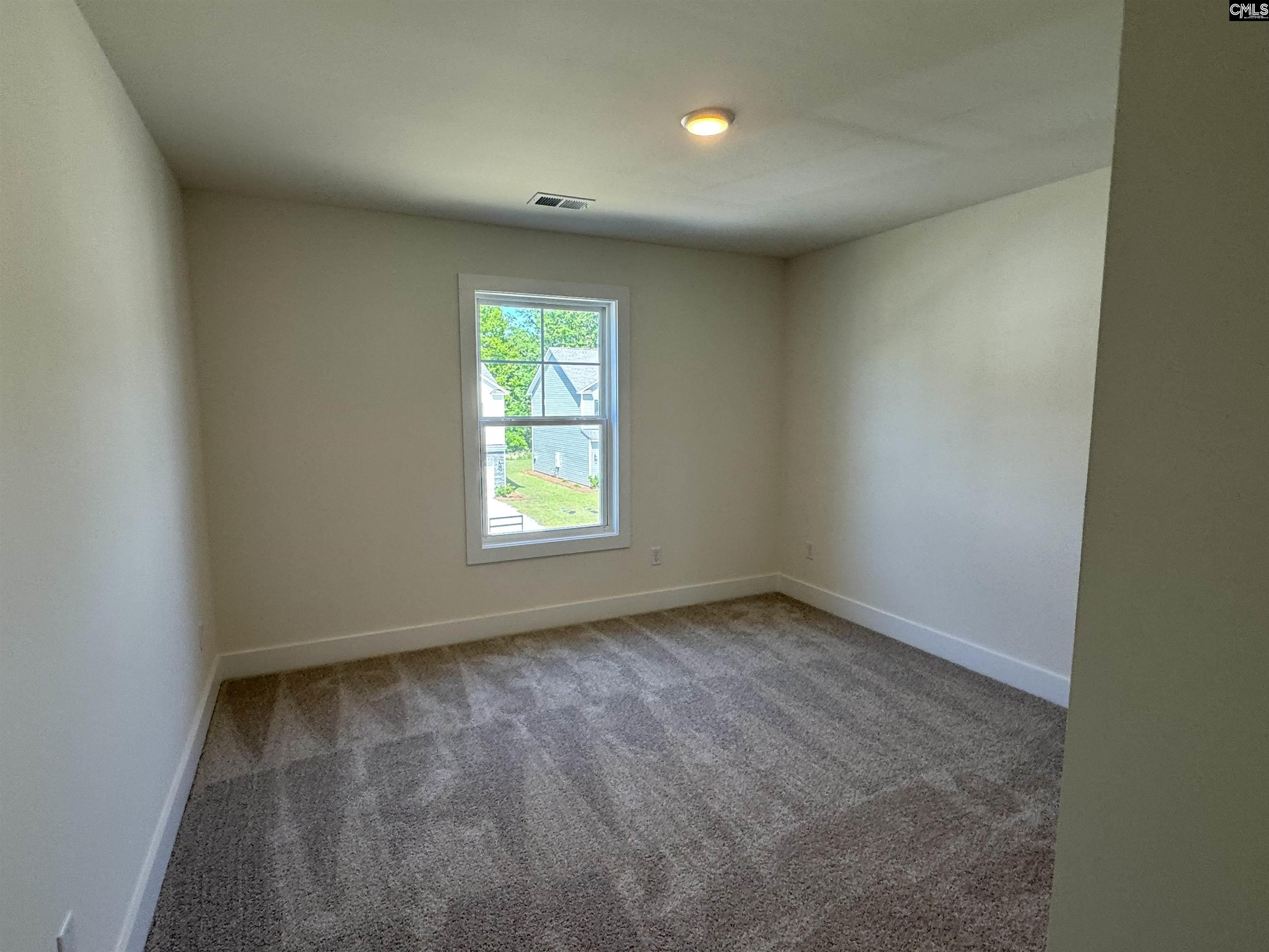 506 Griffon Drive, Chapin, South Carolina image 27
