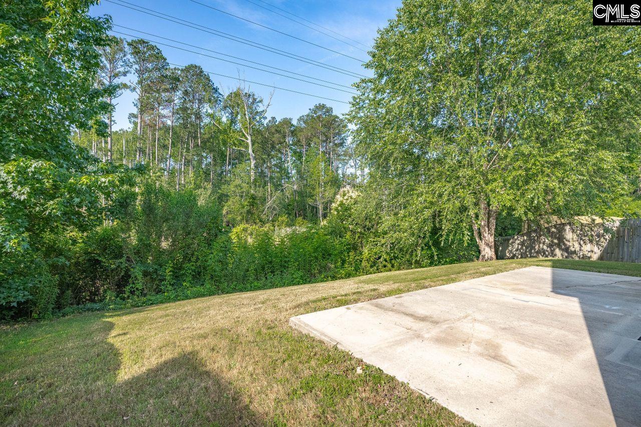 156 Misty Dew Lane, Lexington, South Carolina image 29