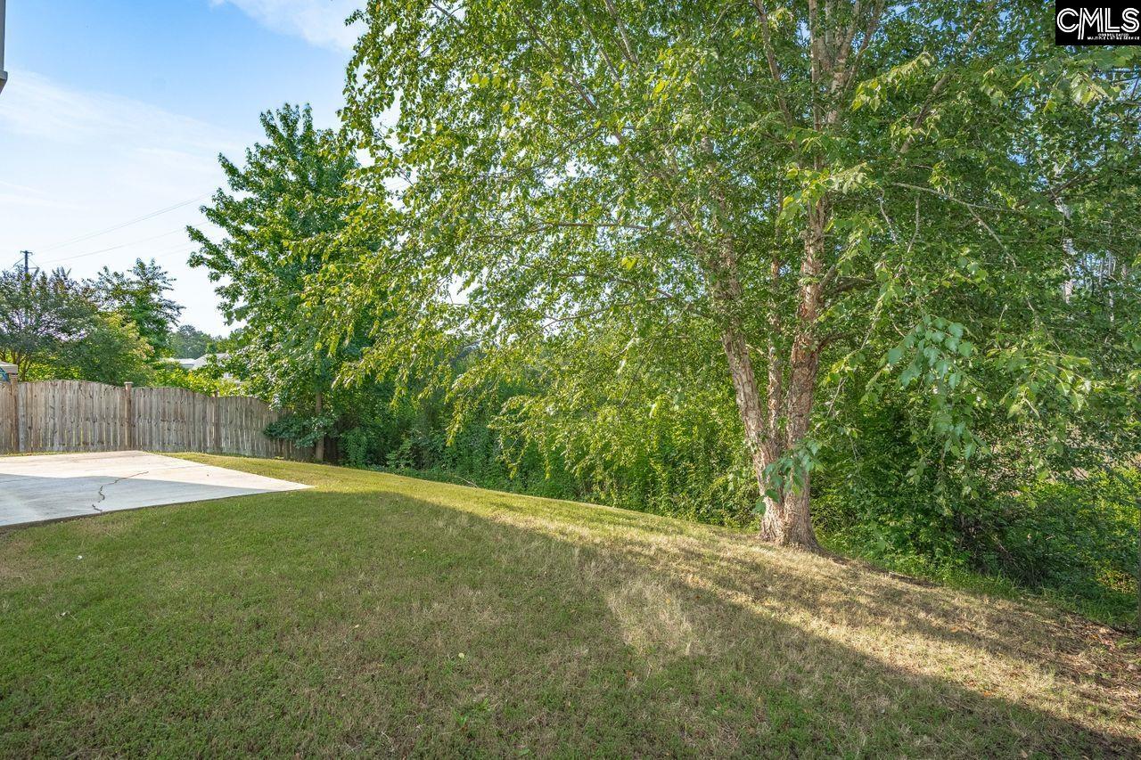 156 Misty Dew Lane, Lexington, South Carolina image 30
