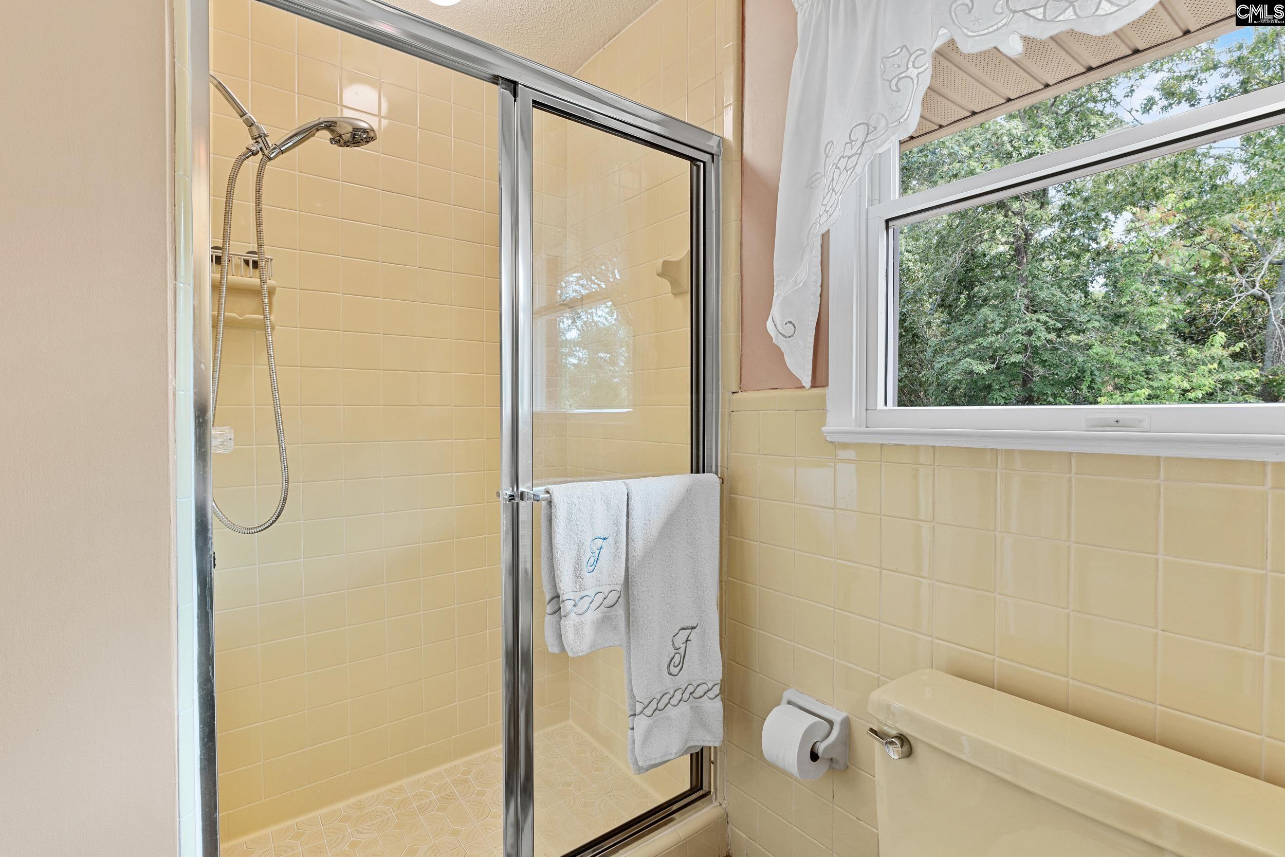 354 St Thomas Church Road, Chapin, South Carolina image 38
