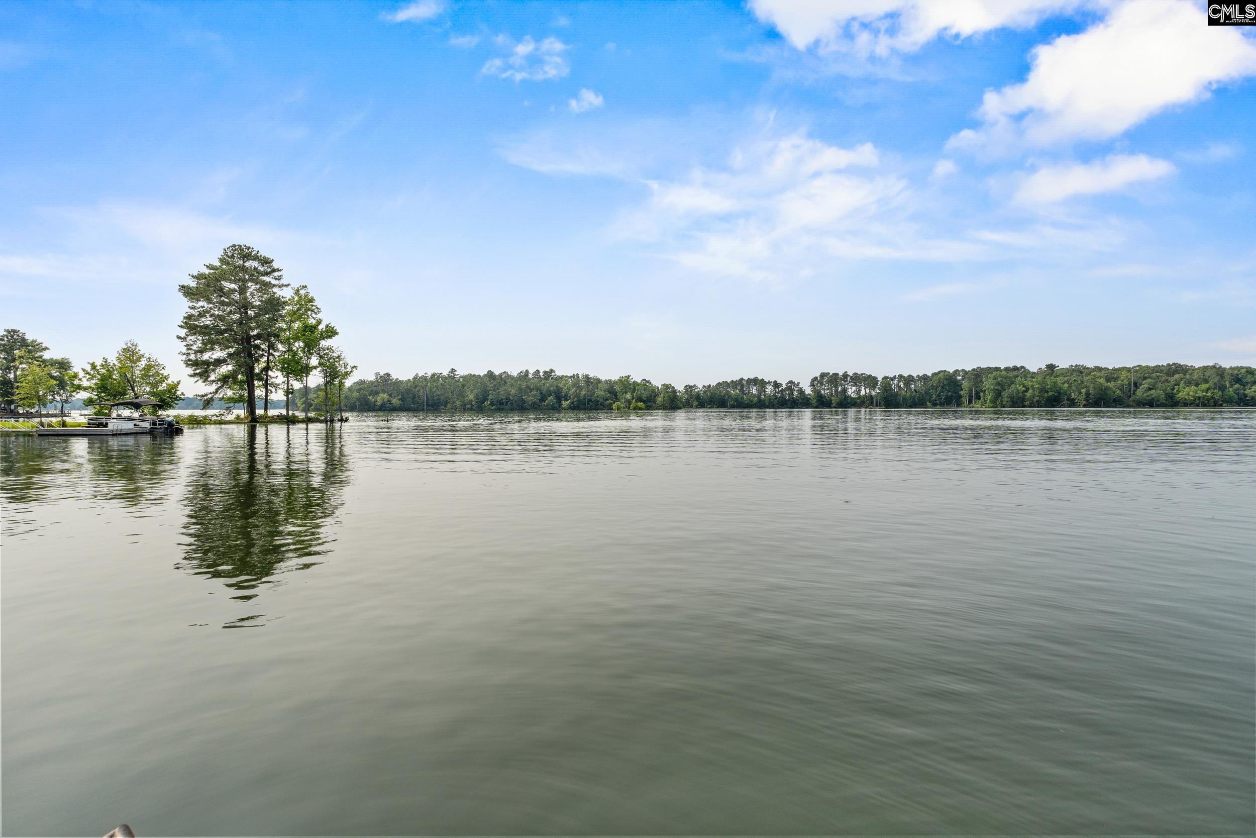 354 St Thomas Church Road Chapin, SC 29036