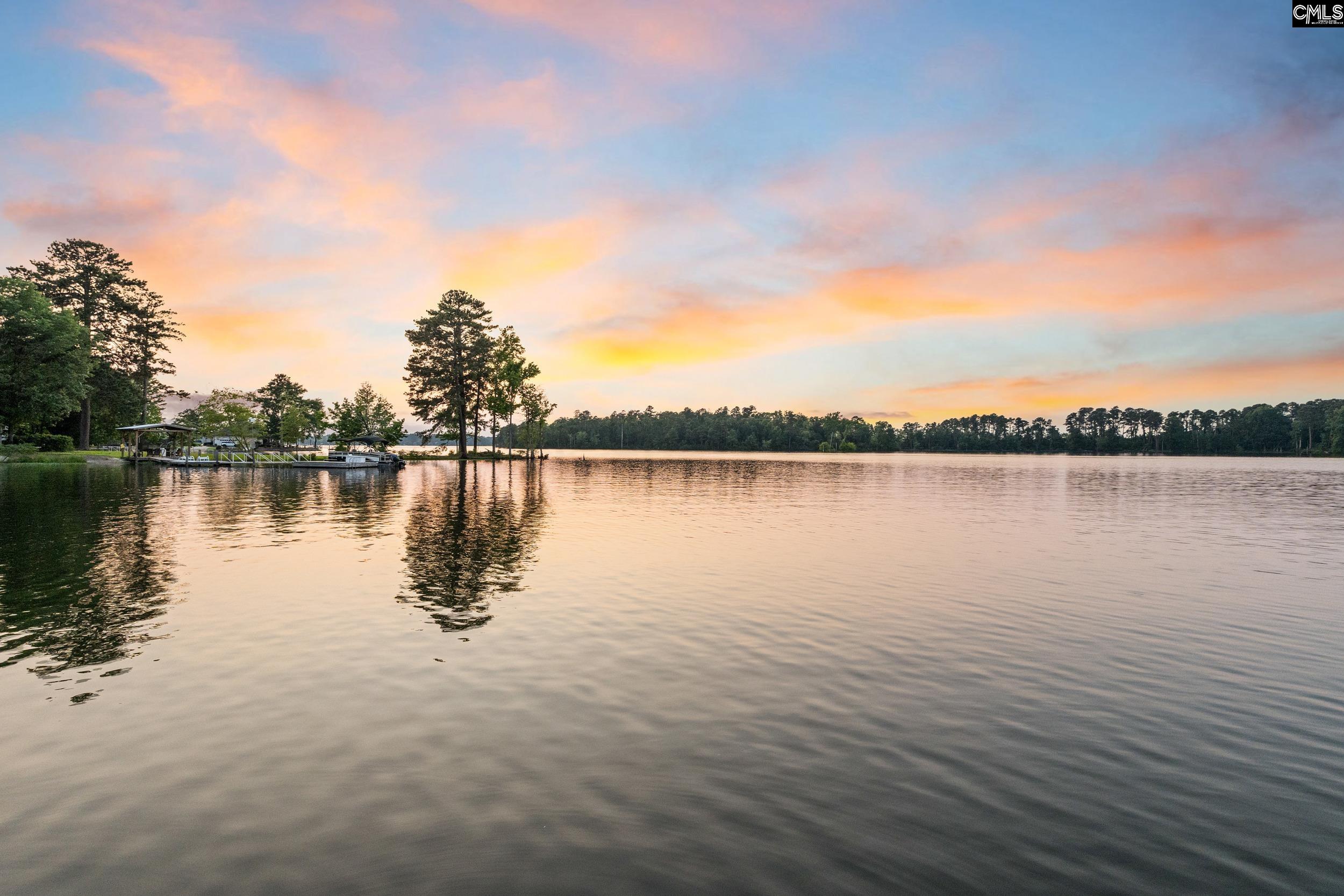 354 St Thomas Church Road Chapin, SC 29036