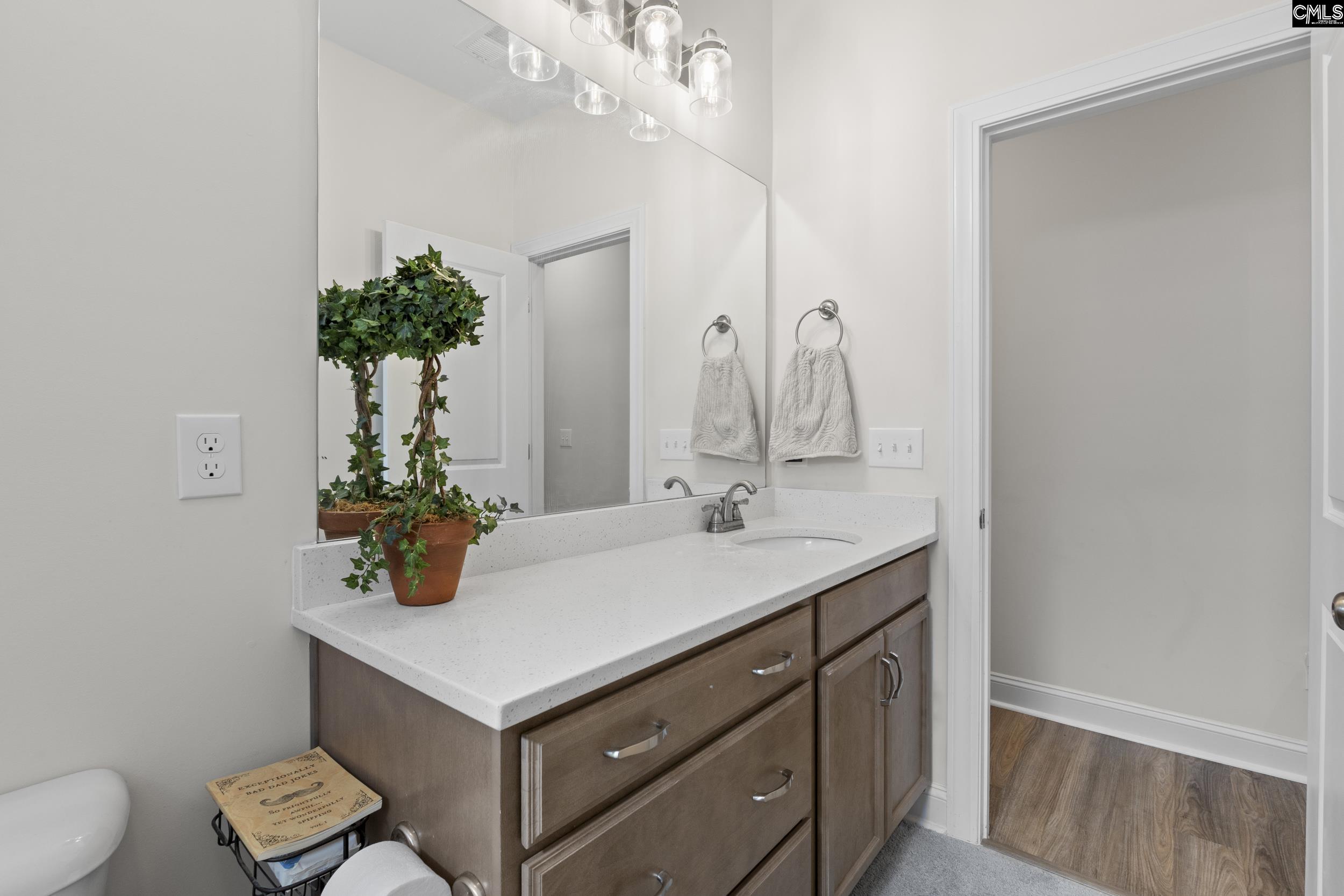 718 Cold Springs Lane, Irmo, South Carolina image 28