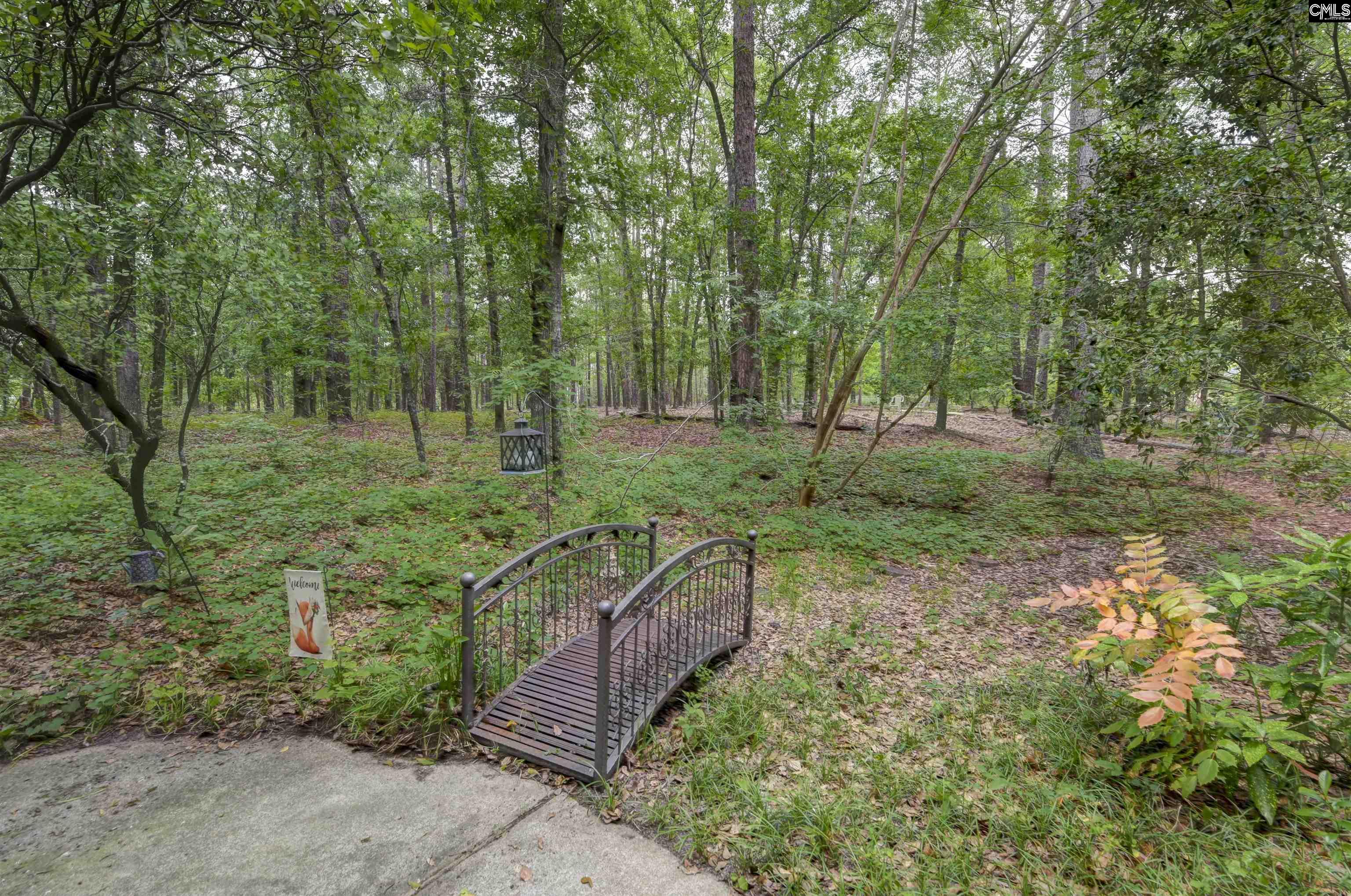 832 W Longtown Road, Blythewood, South Carolina image 50