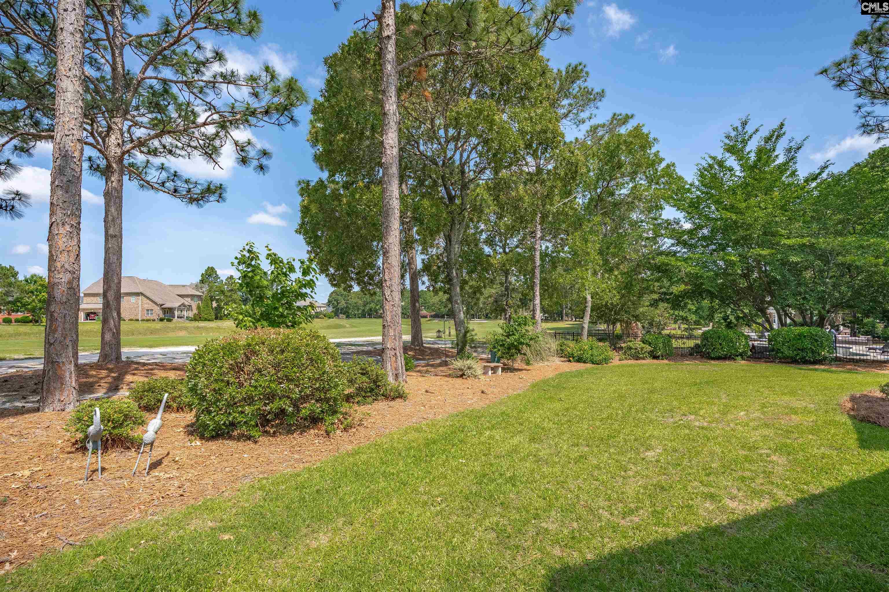 317 Cartgate Circle, Blythewood, South Carolina image 6