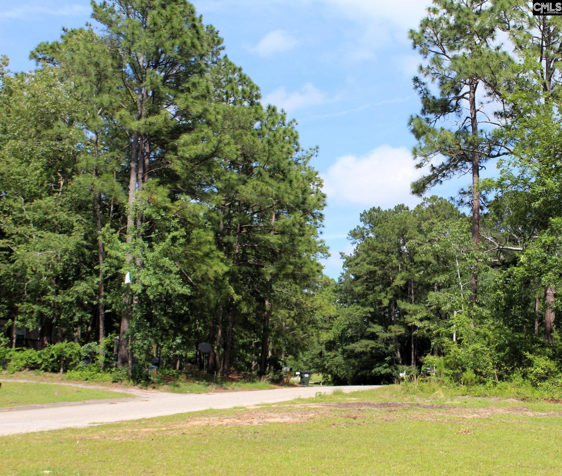 219 Woodland Drive, Swansea, South Carolina image 2