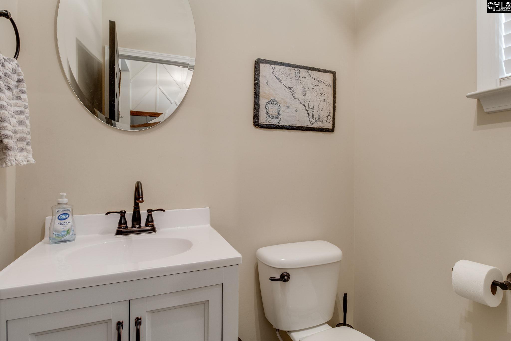 163 Tybo Drive, Lexington, South Carolina image 19