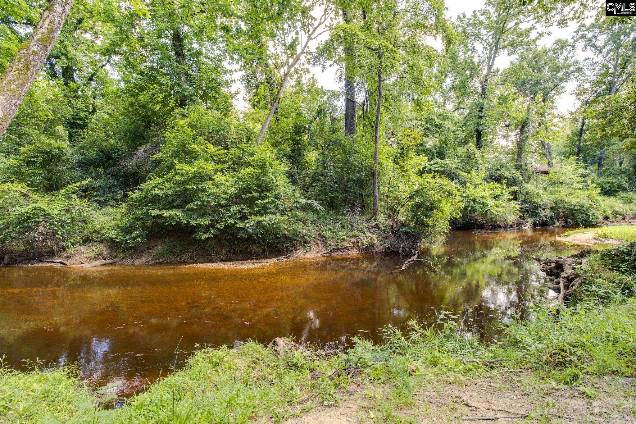 163 Tybo Drive, Lexington, South Carolina image 32