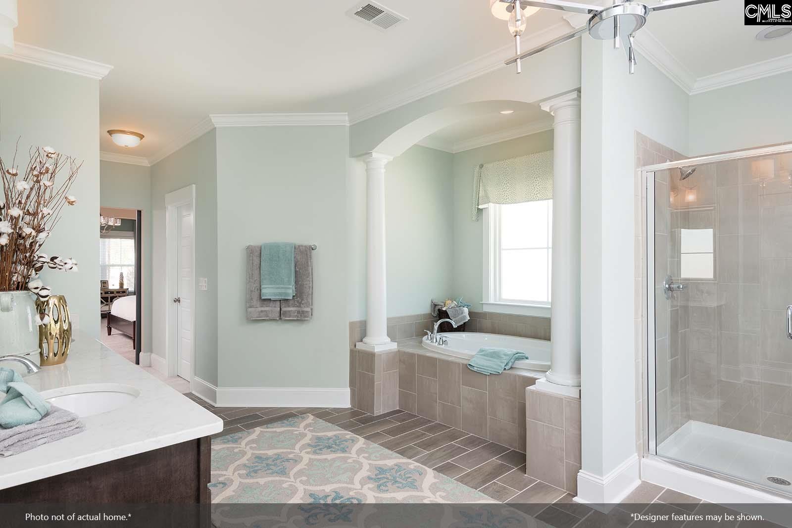 2344 Hadley Crossing, Chapin, South Carolina image 11