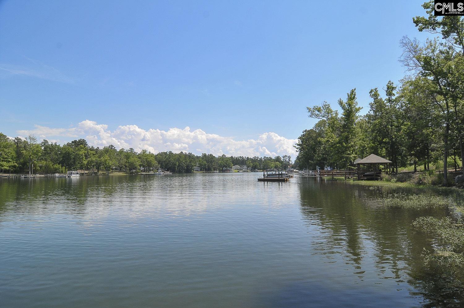 2344 Hadley Crossing, Chapin, South Carolina image 27