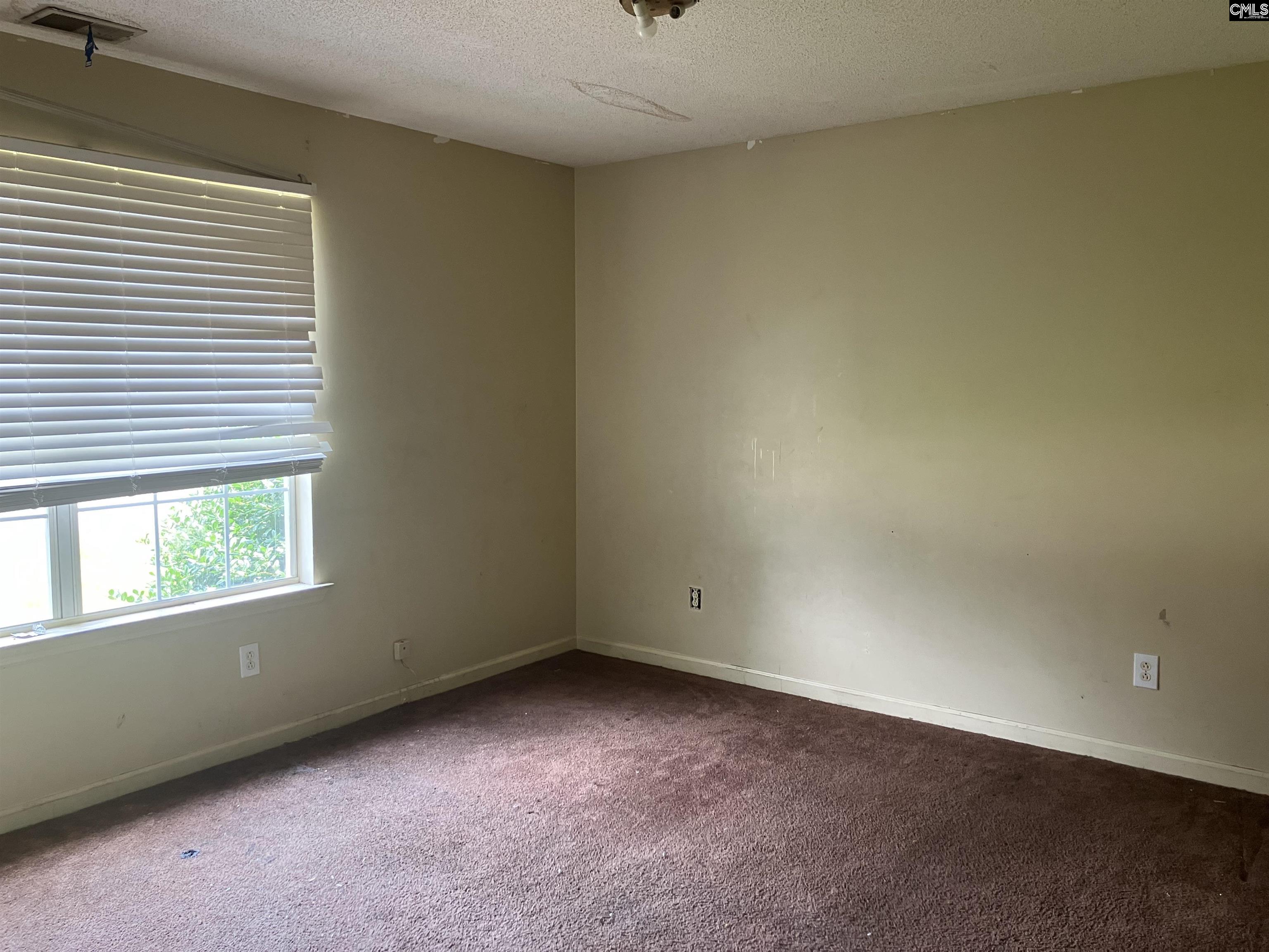 829 Martha Street, Columbia, South Carolina image 4