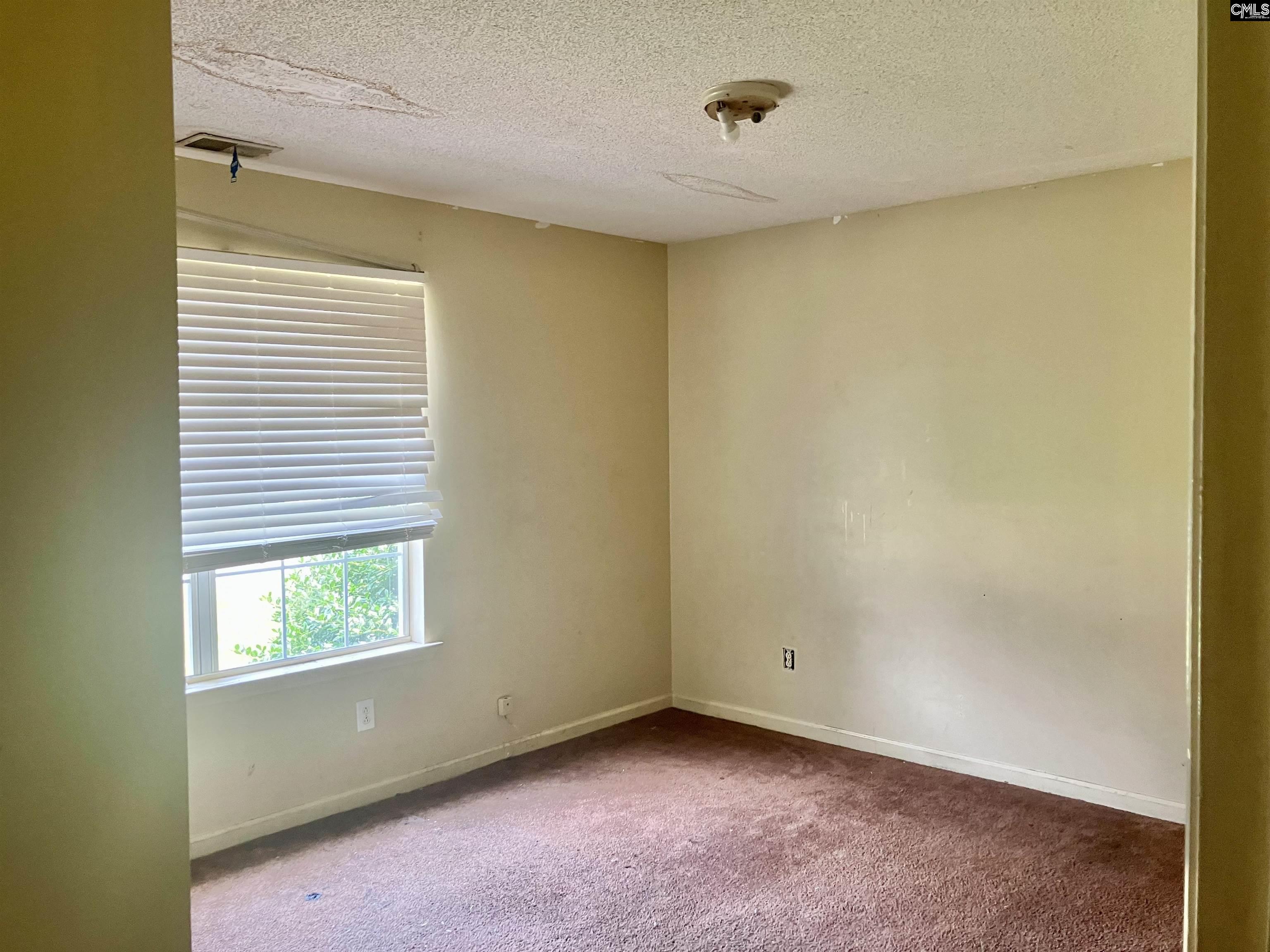 829 Martha Street, Columbia, South Carolina image 7