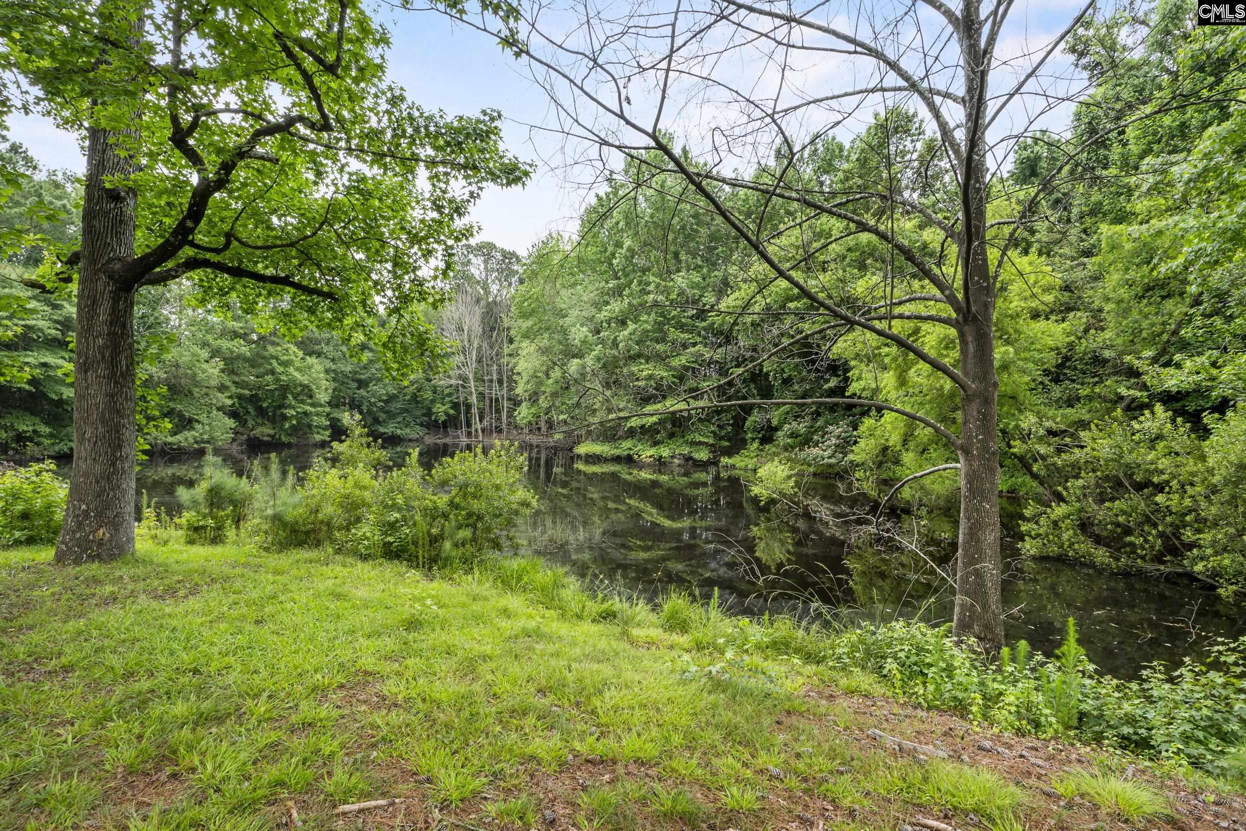 1510 Canal Drive, Columbia, South Carolina image 40