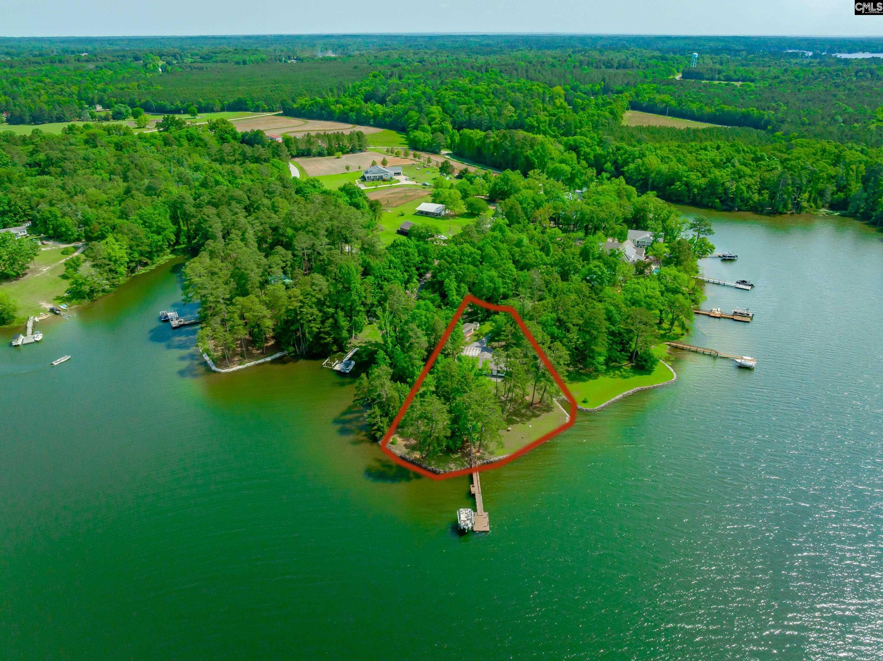 748 Crystal Lake Circle, Chapin, South Carolina image 1