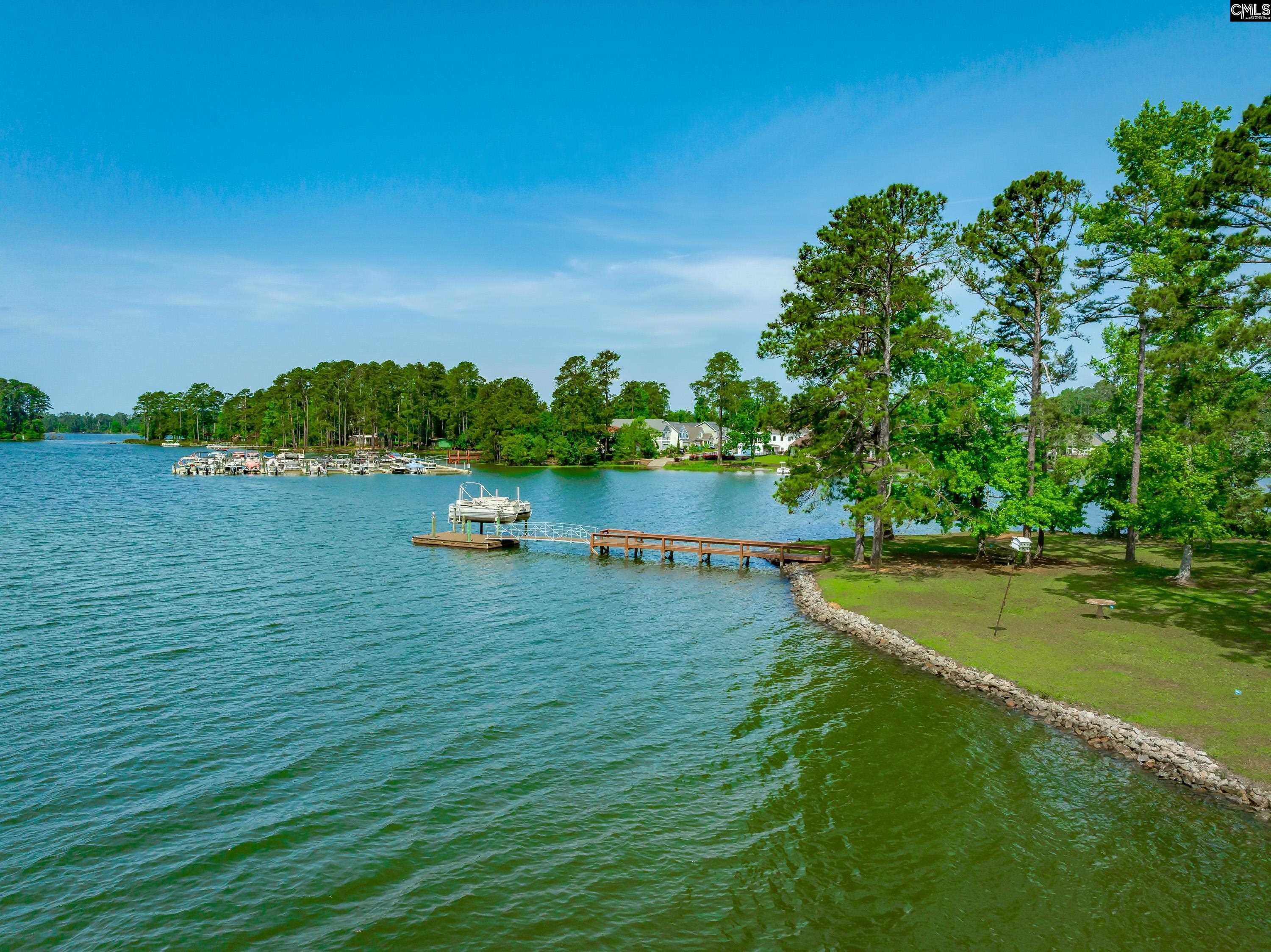 748 Crystal Lake Circle, Chapin, South Carolina image 11