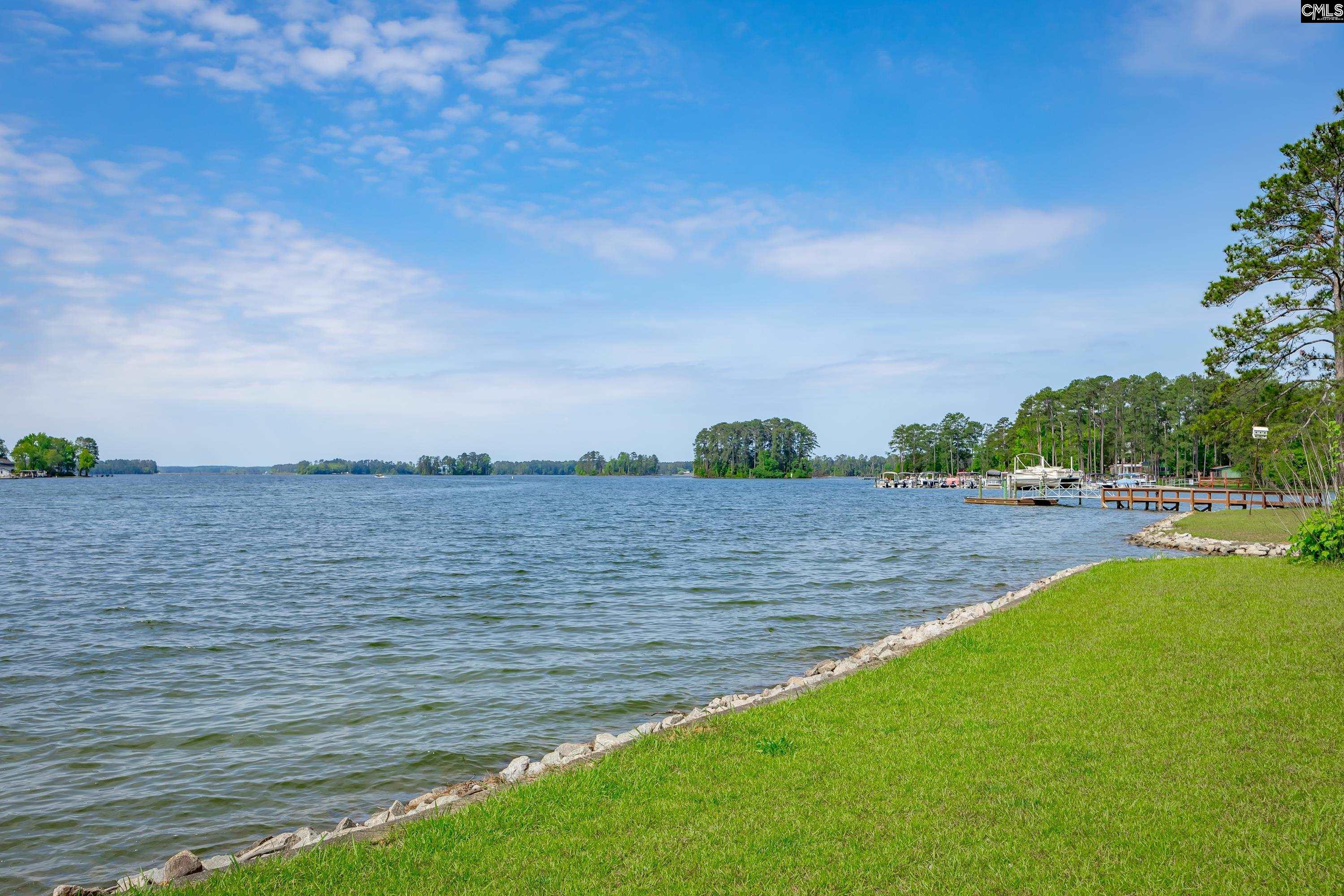 748 Crystal Lake Circle, Chapin, South Carolina image 12