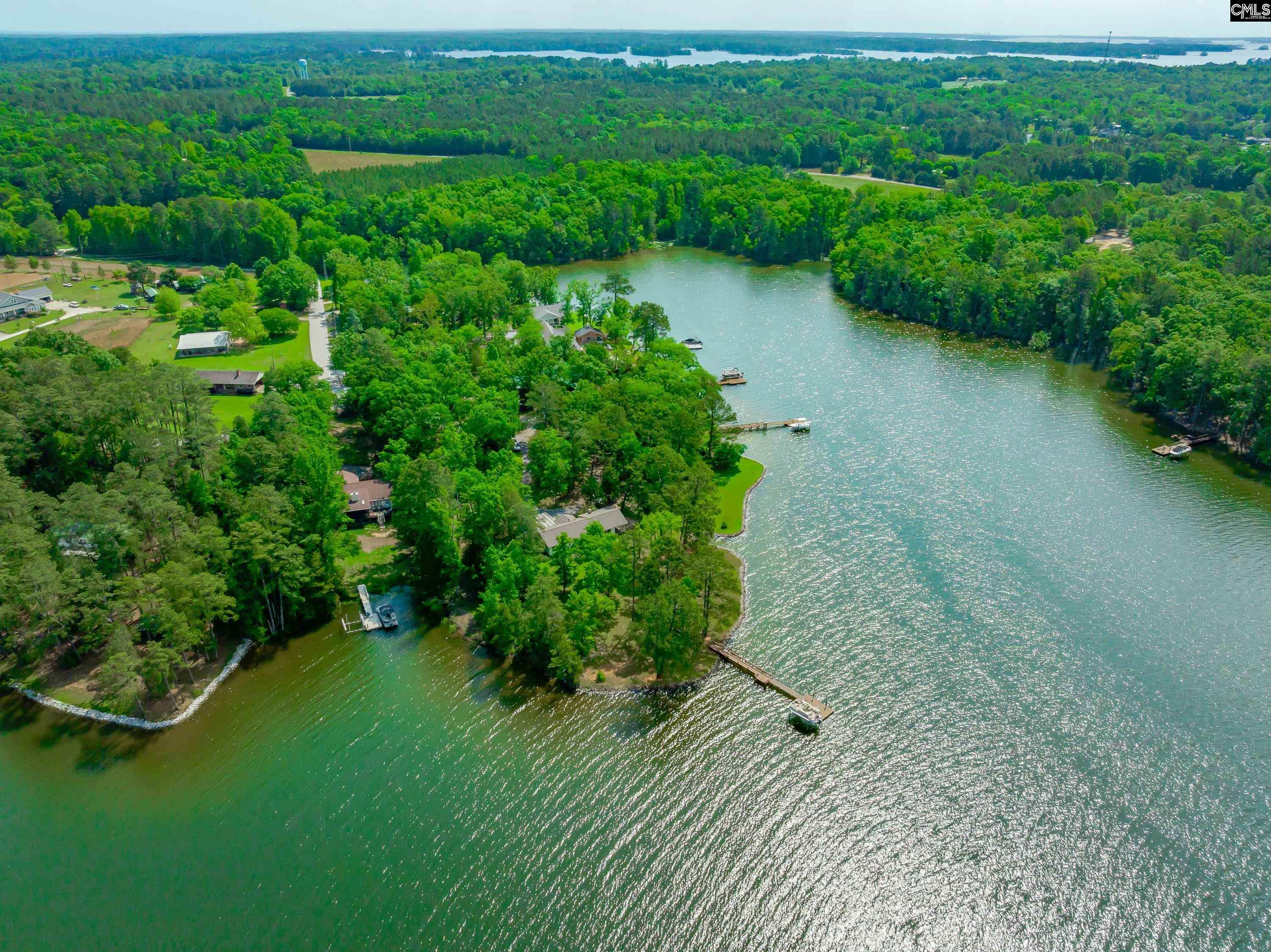 748 Crystal Lake Circle, Chapin, South Carolina image 17
