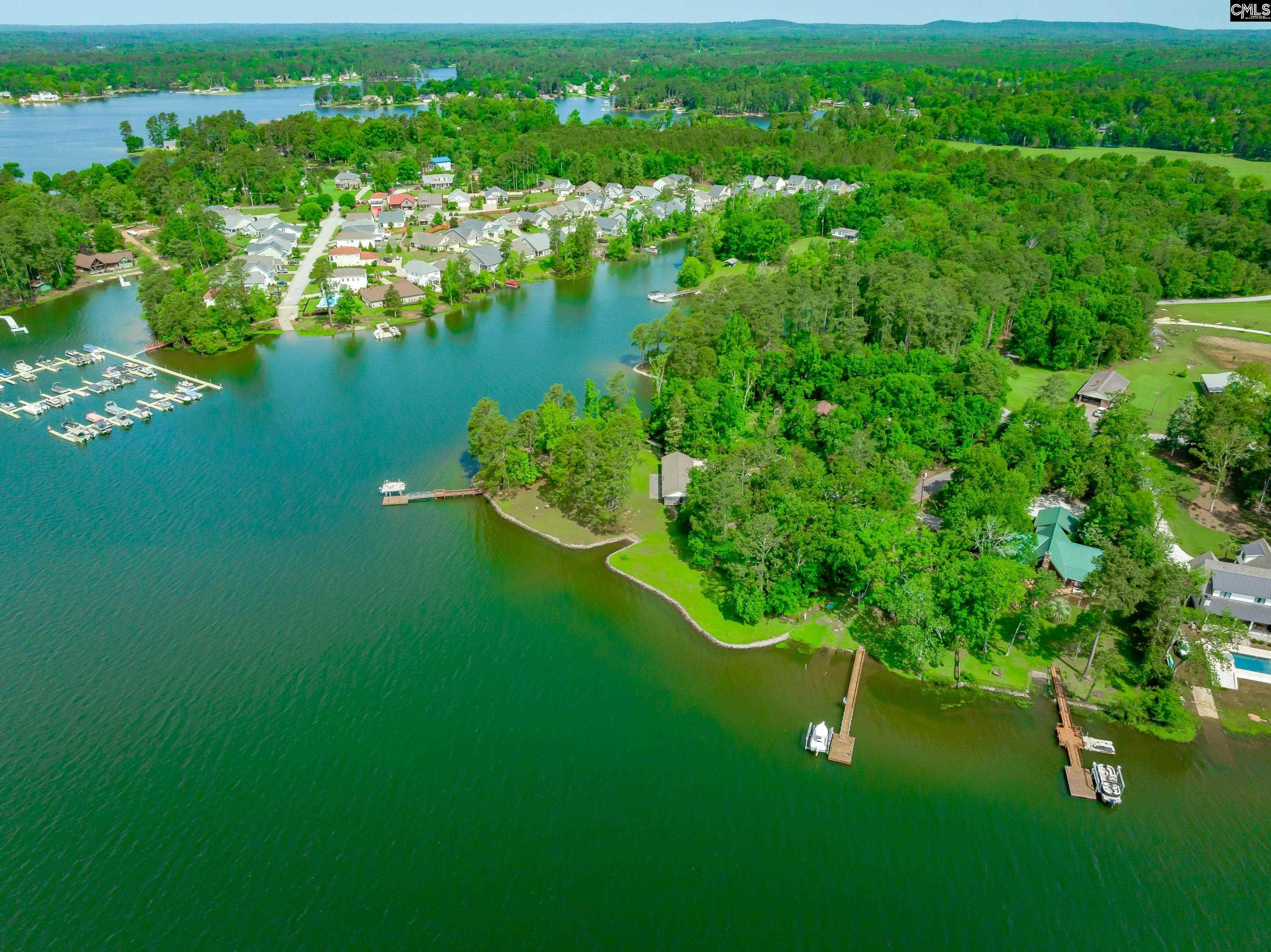 748 Crystal Lake Circle, Chapin, South Carolina image 19