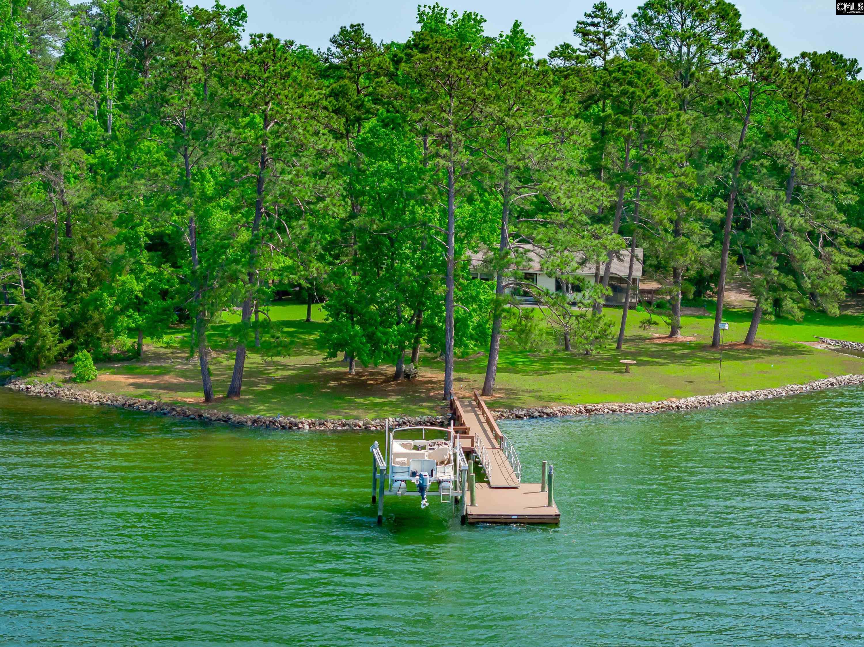 748 Crystal Lake Circle, Chapin, South Carolina image 3