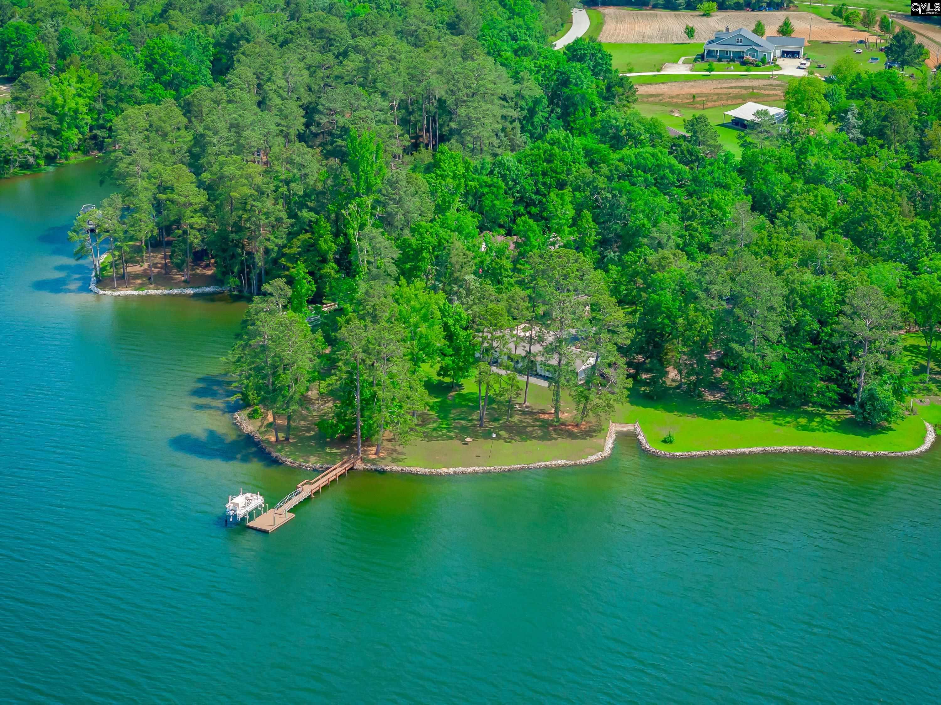748 Crystal Lake Circle, Chapin, South Carolina image 21