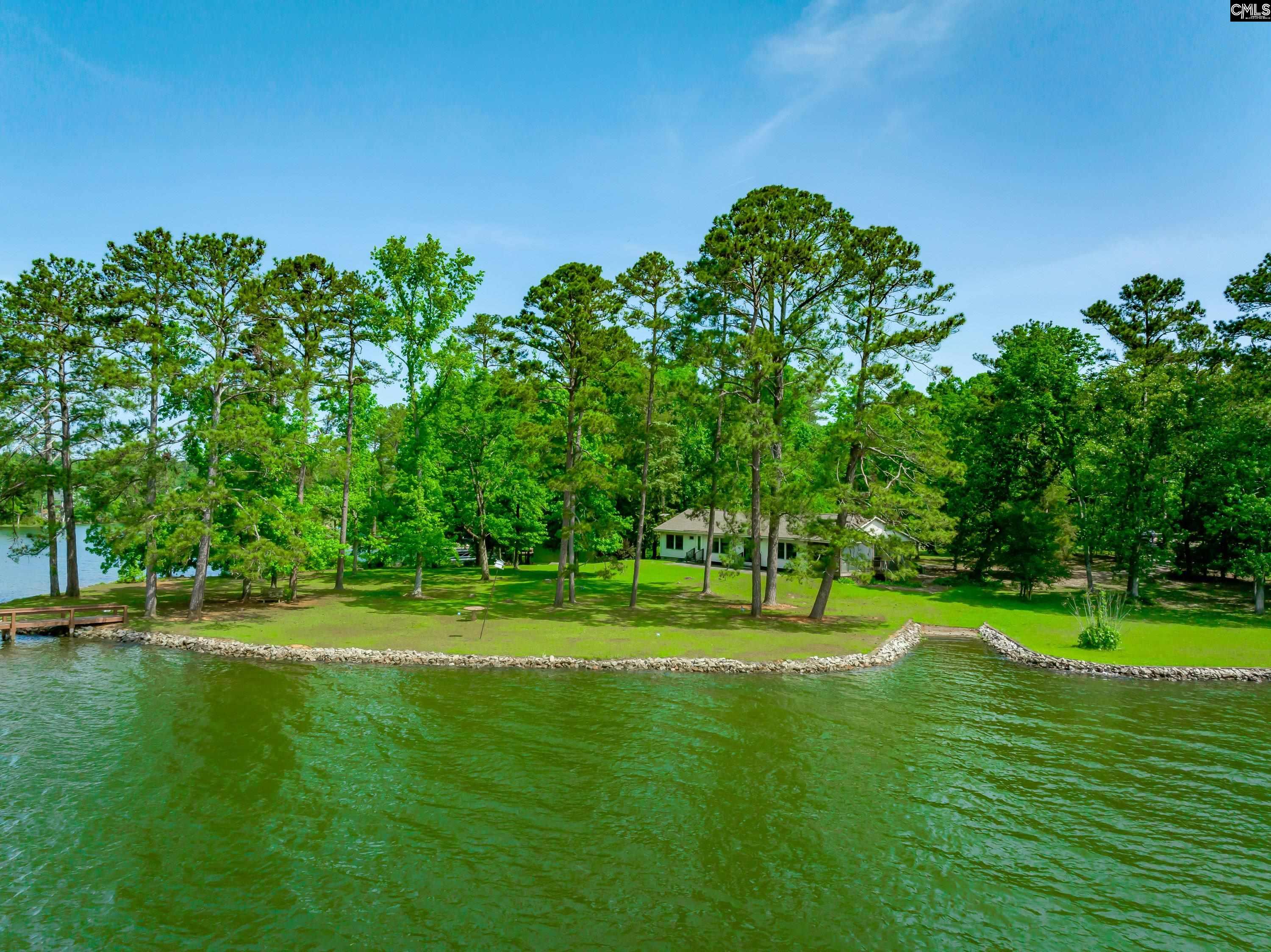 748 Crystal Lake Circle, Chapin, South Carolina image 23