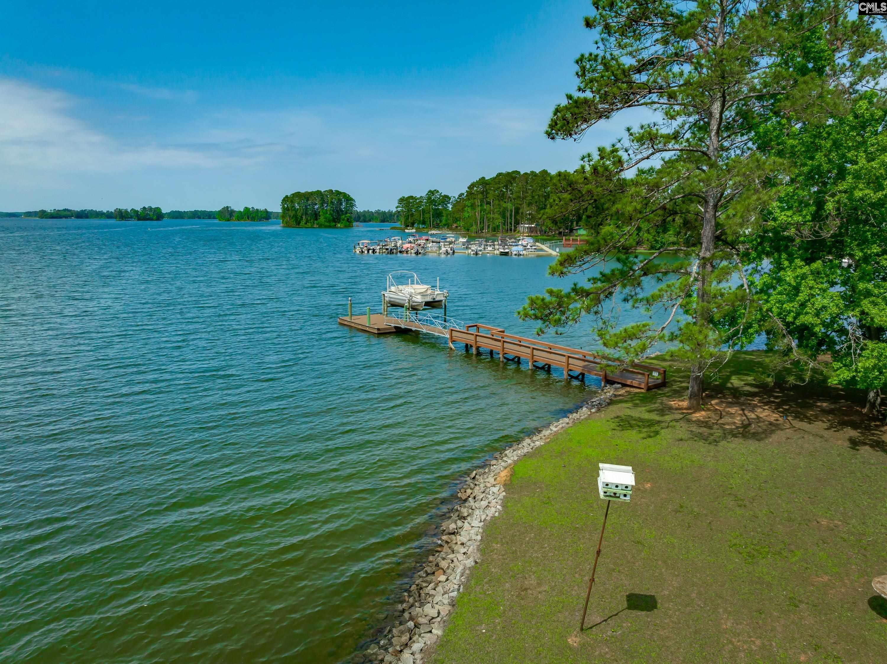 748 Crystal Lake Circle, Chapin, South Carolina image 29