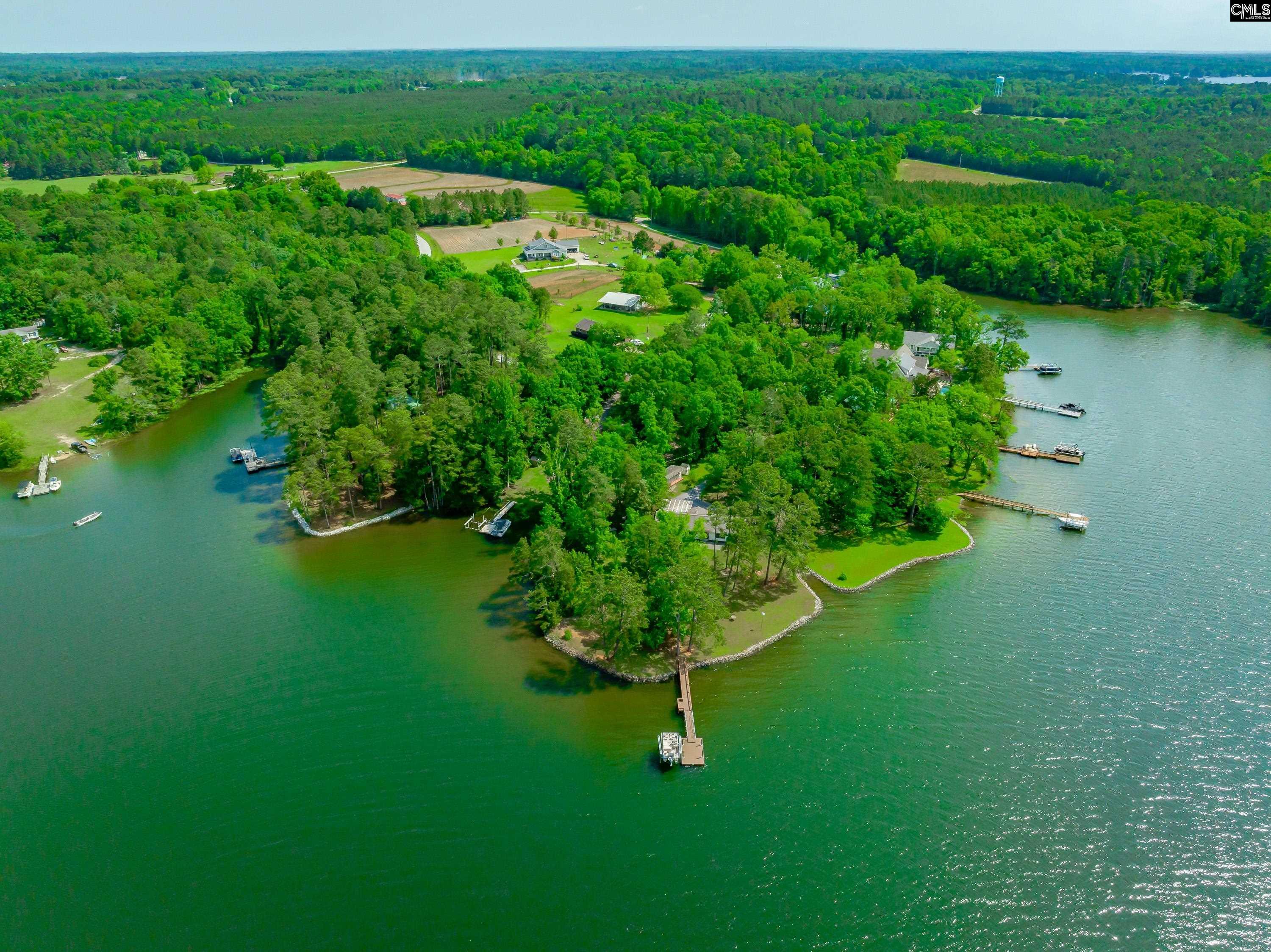 748 Crystal Lake Circle, Chapin, South Carolina image 4