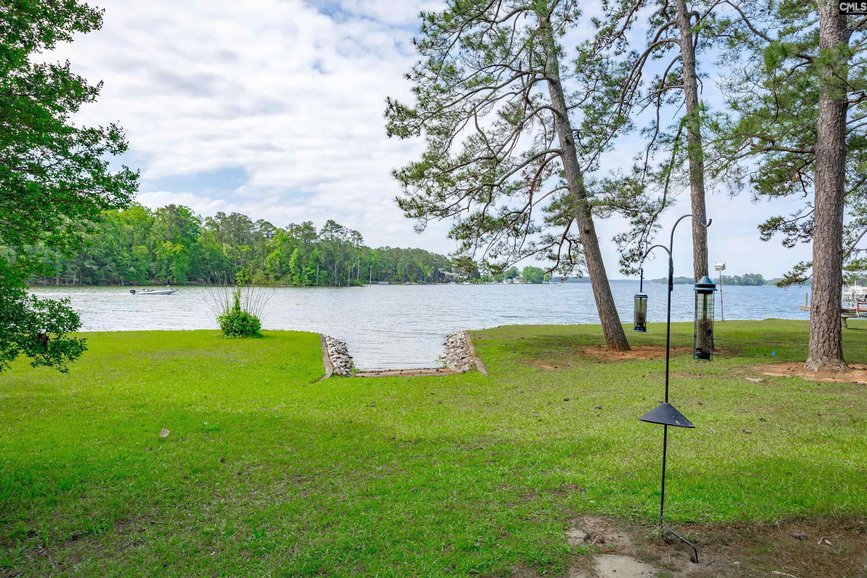 748 Crystal Lake Circle, Chapin, South Carolina image 36