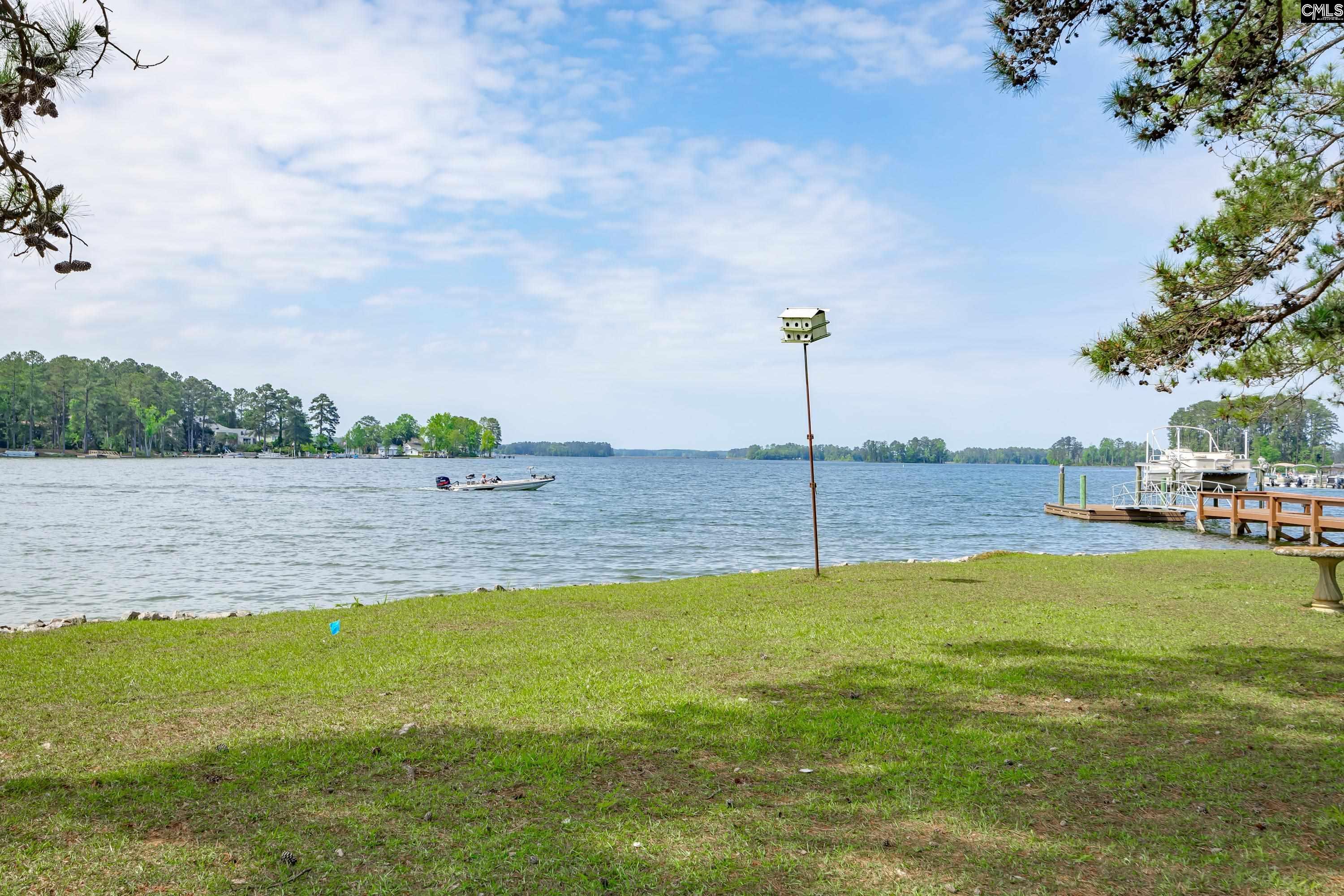 748 Crystal Lake Circle, Chapin, South Carolina image 38