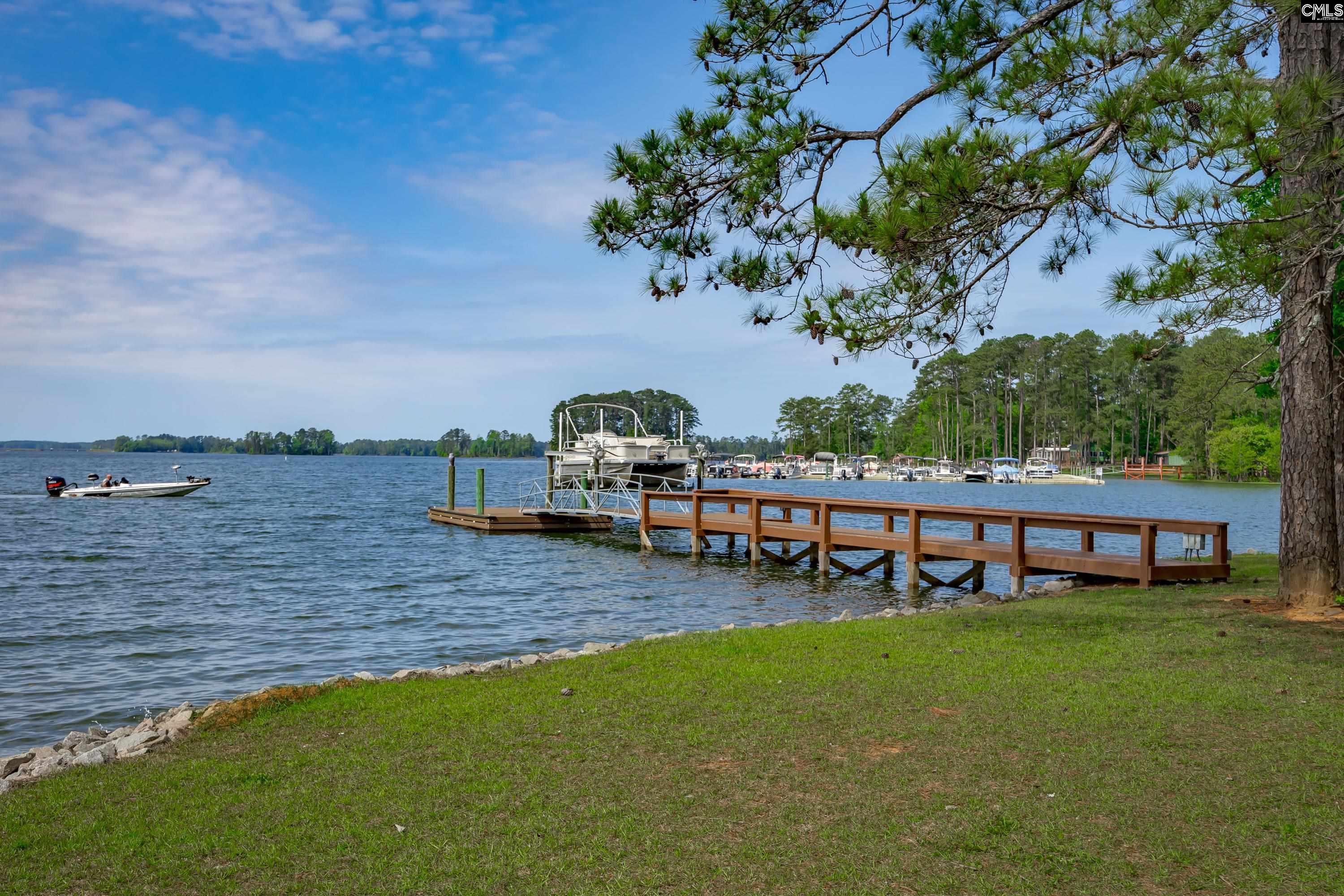 748 Crystal Lake Circle, Chapin, South Carolina image 10