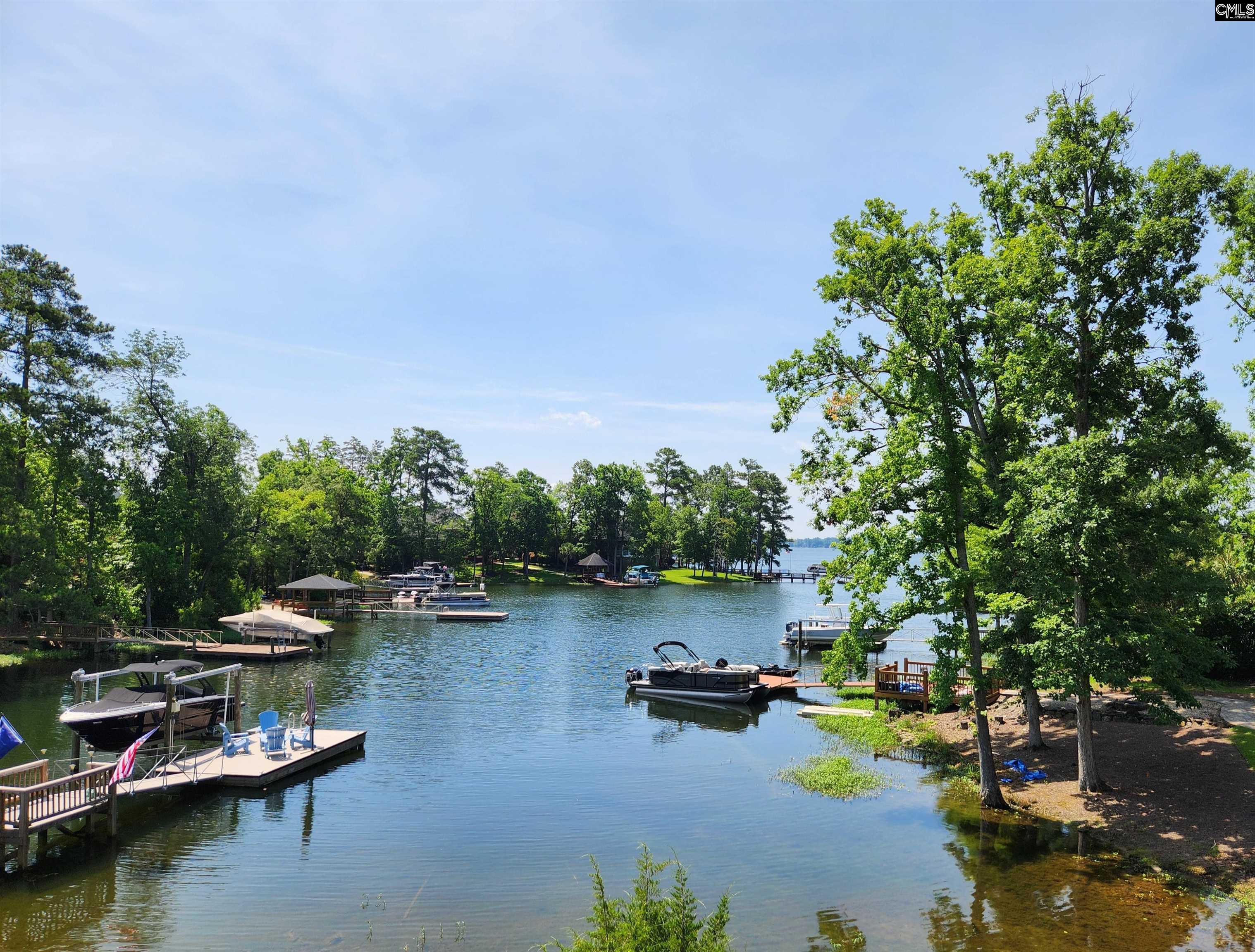 125 Bay Pointe Drive, Chapin, South Carolina image 24