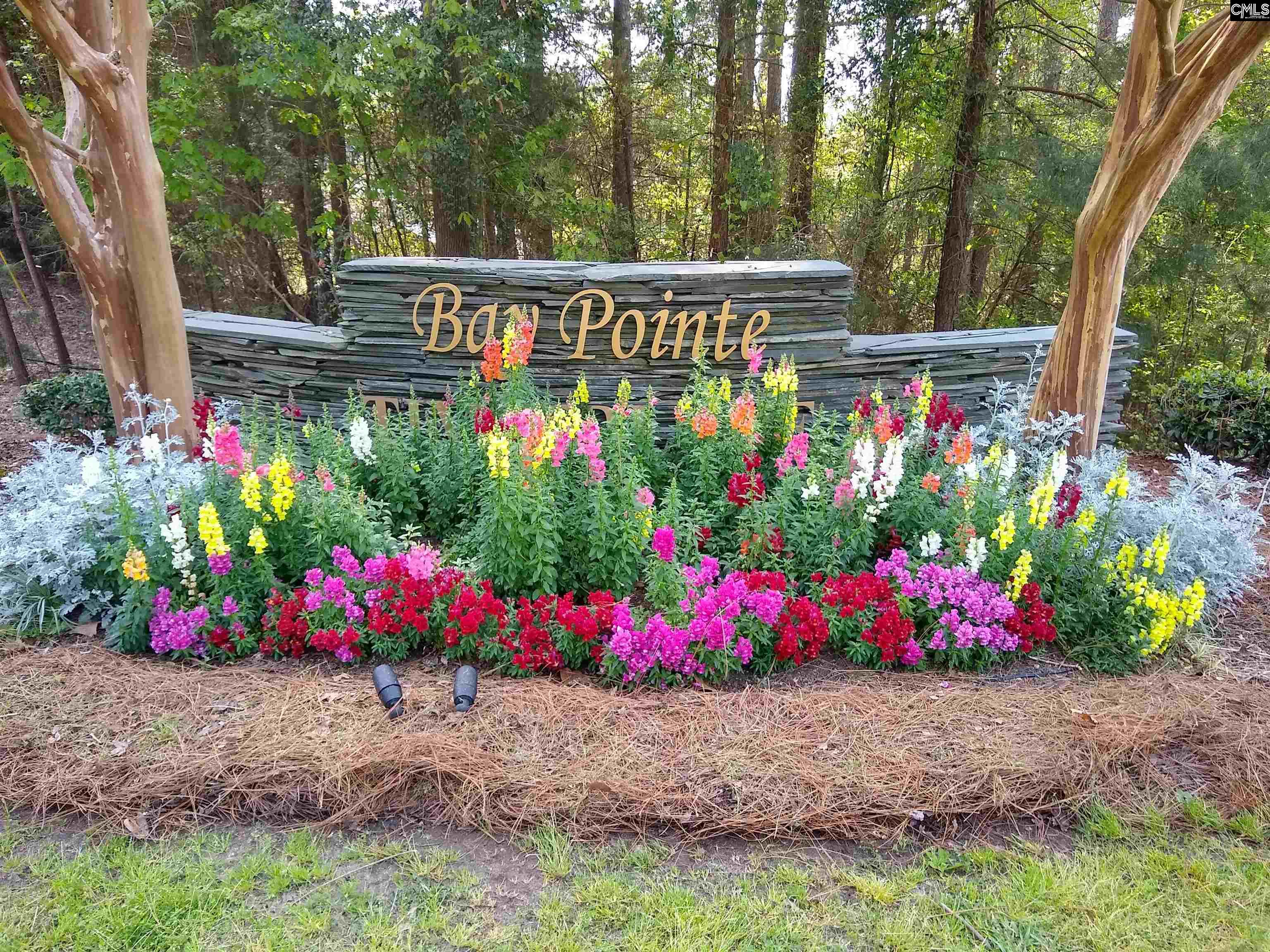 125 Bay Pointe Drive, Chapin, South Carolina image 5