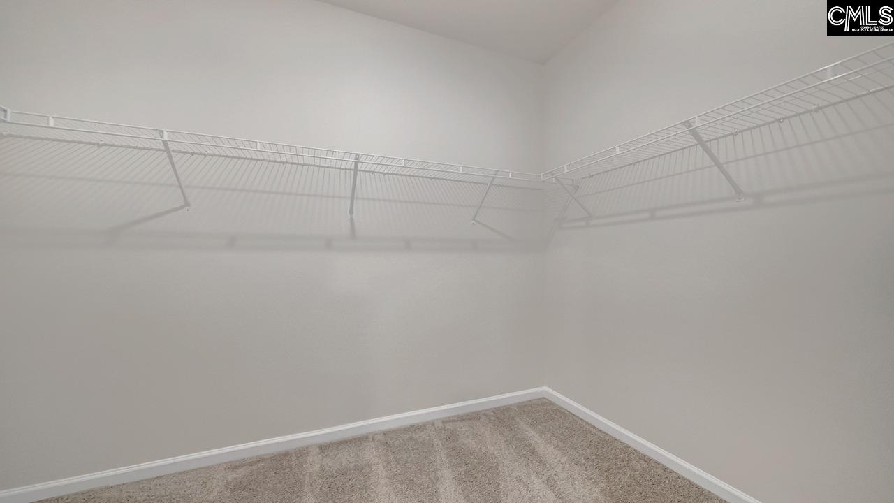 243 Blue Valley Court, Columbia, South Carolina image 18