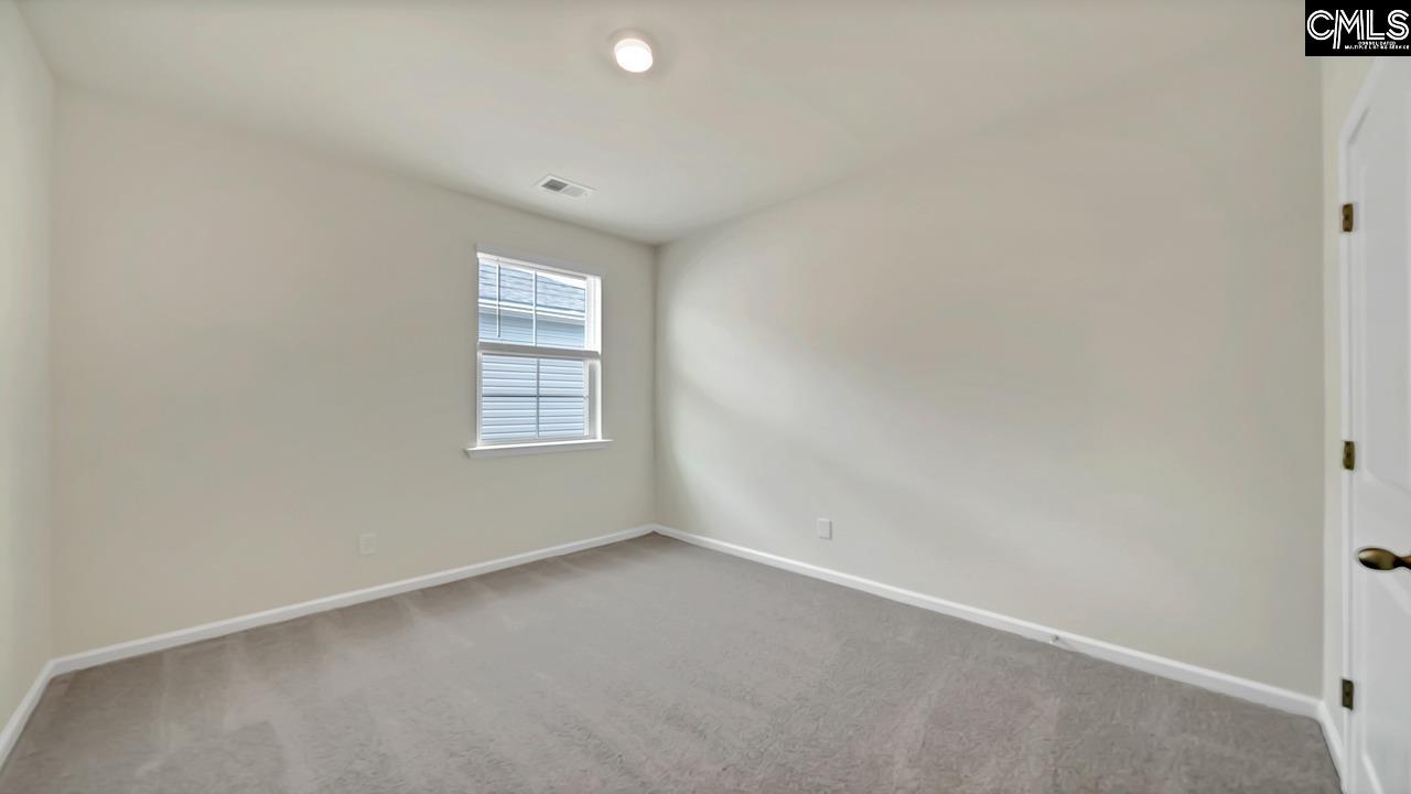 243 Blue Valley Court, Columbia, South Carolina image 19