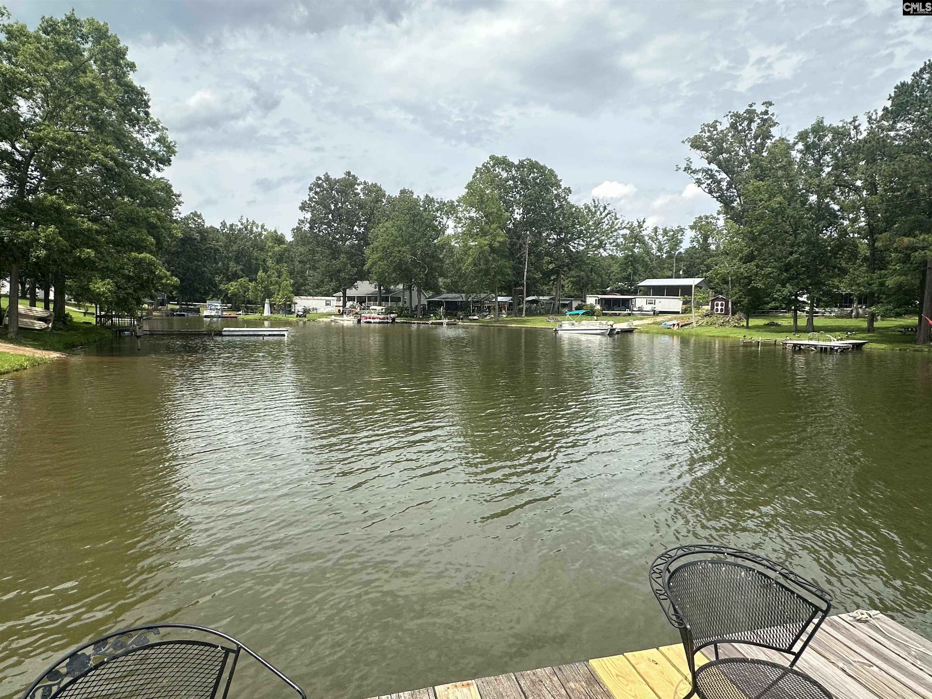 610 Holloway Cove Road, Chappells, South Carolina image 3