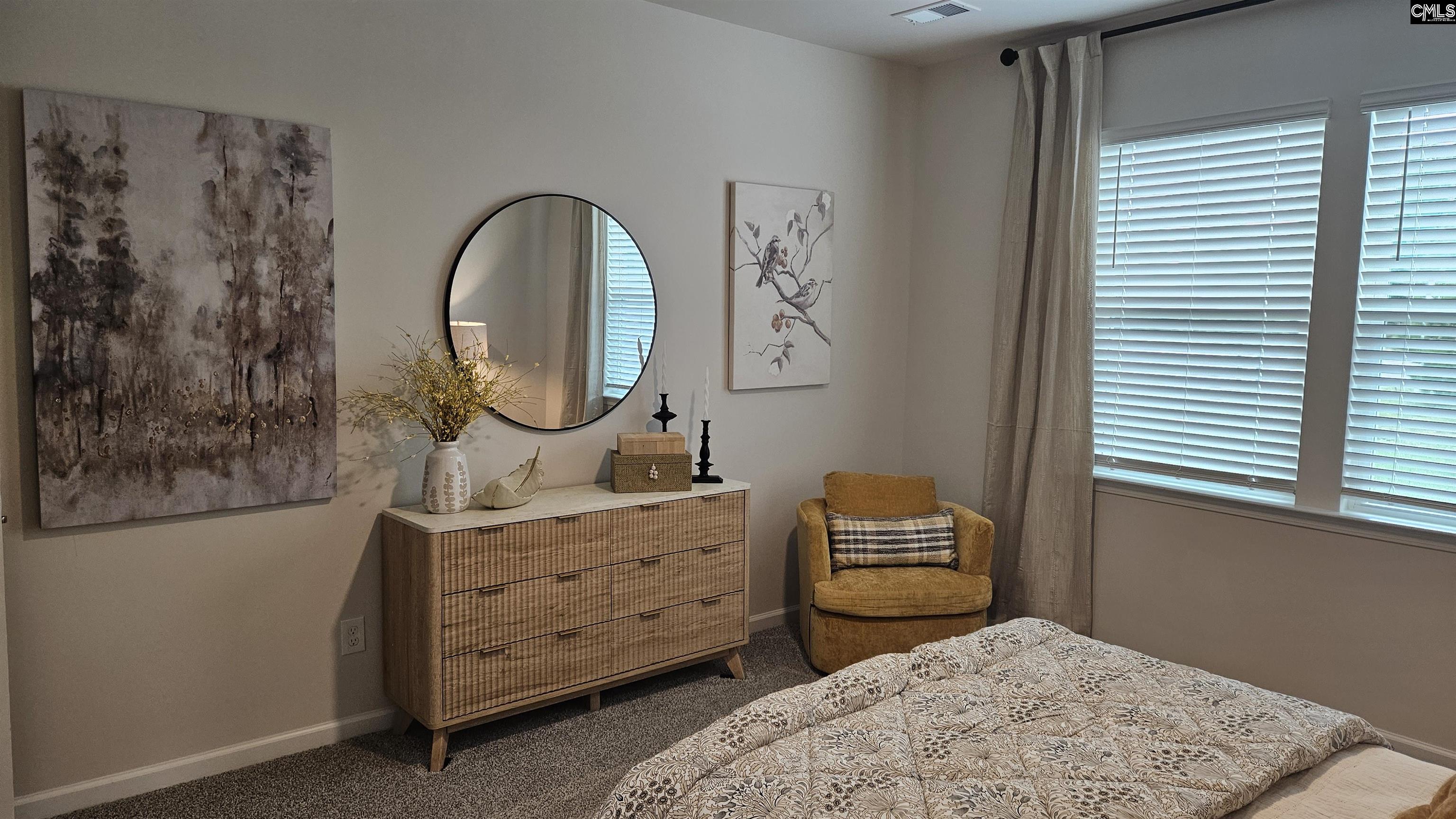 247 Sunny Hill Drive, Blythewood, South Carolina image 21