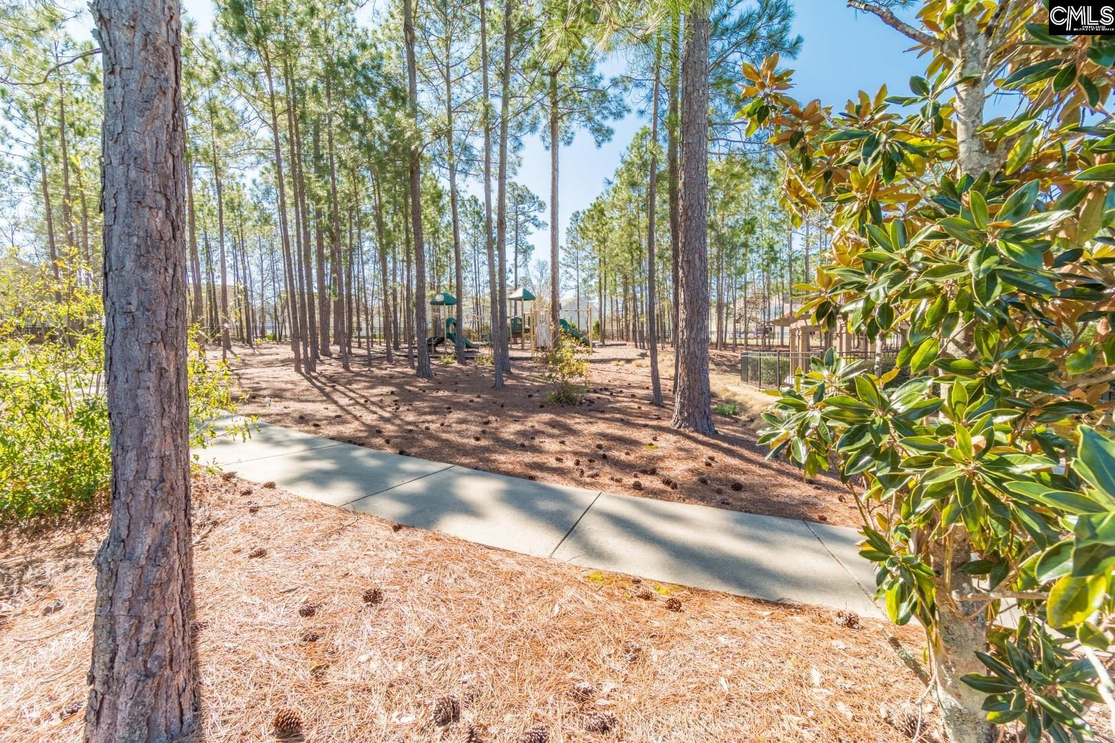 125 Oak Cove Drive, Columbia, South Carolina image 49