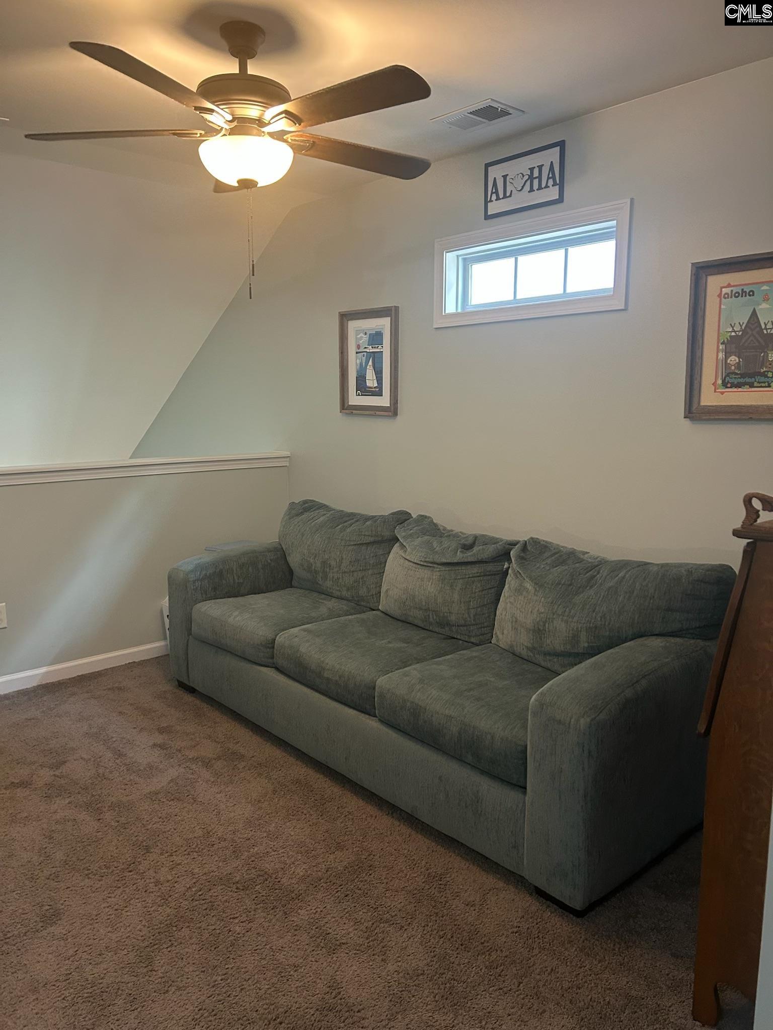 177 Tybo Drive, Lexington, South Carolina image 43