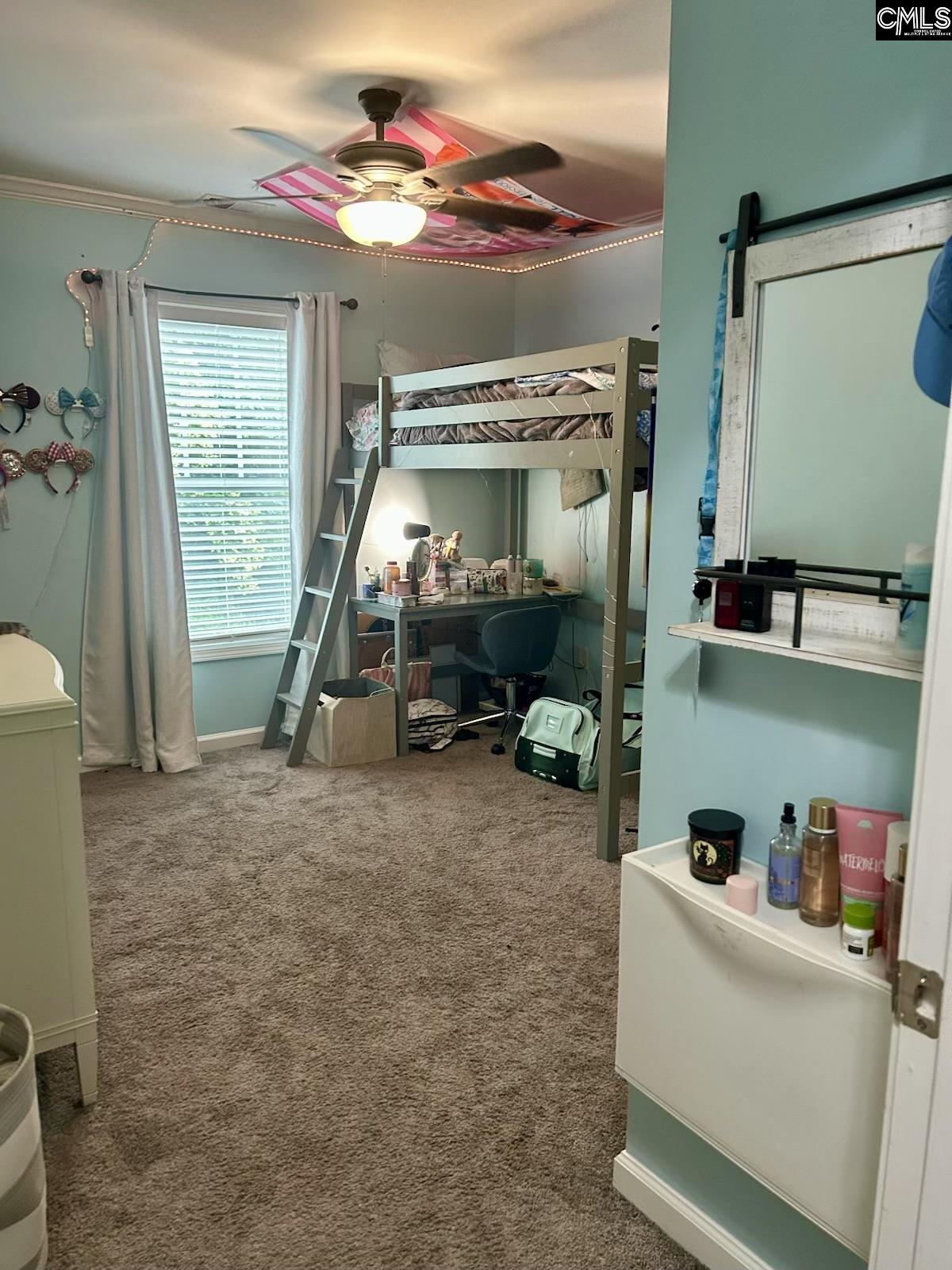 177 Tybo Drive, Lexington, South Carolina image 45
