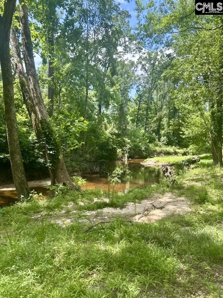 177 Tybo Drive Lexington, SC 29072