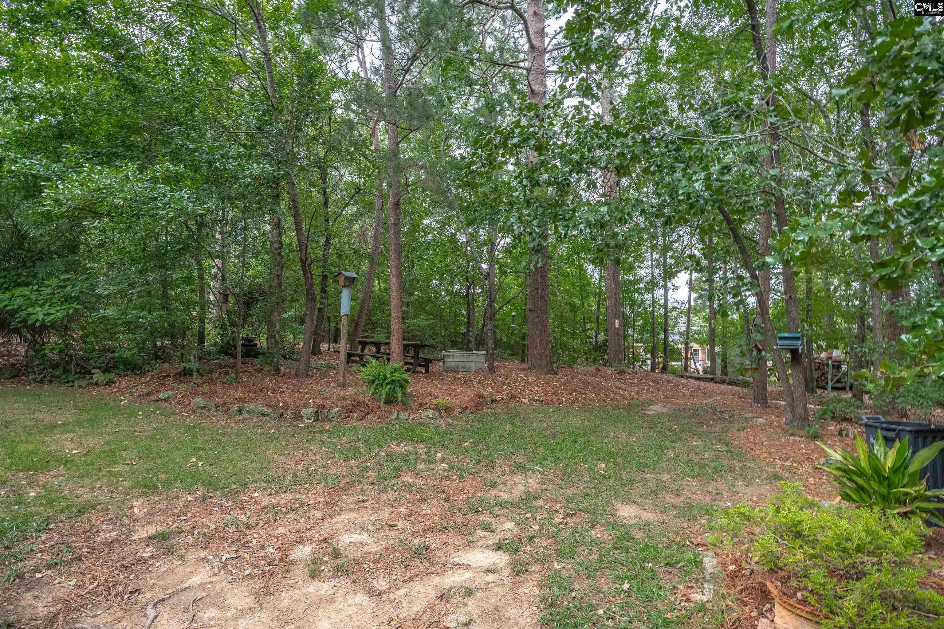 2609 Bendemeer Drive, Columbia, South Carolina image 39