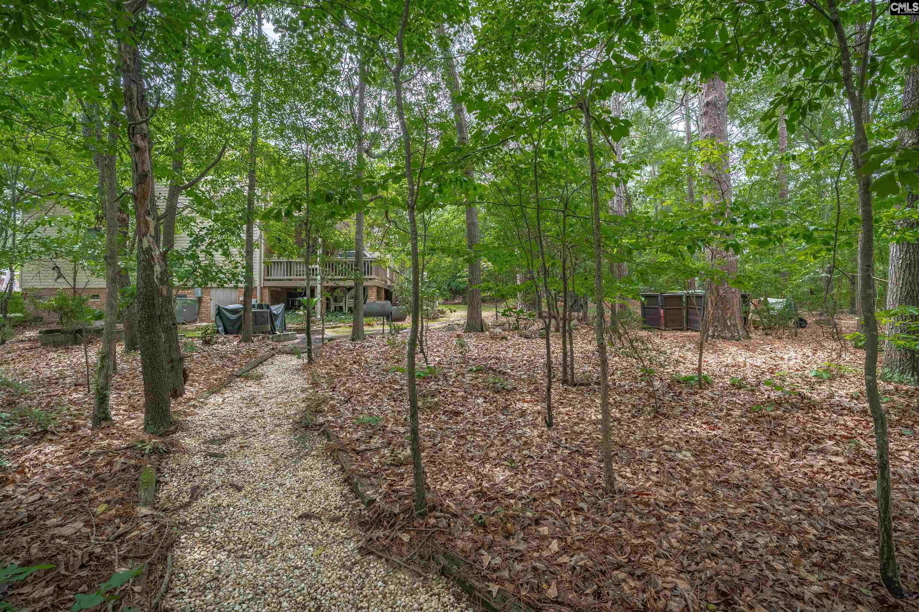2609 Bendemeer Drive, Columbia, South Carolina image 42