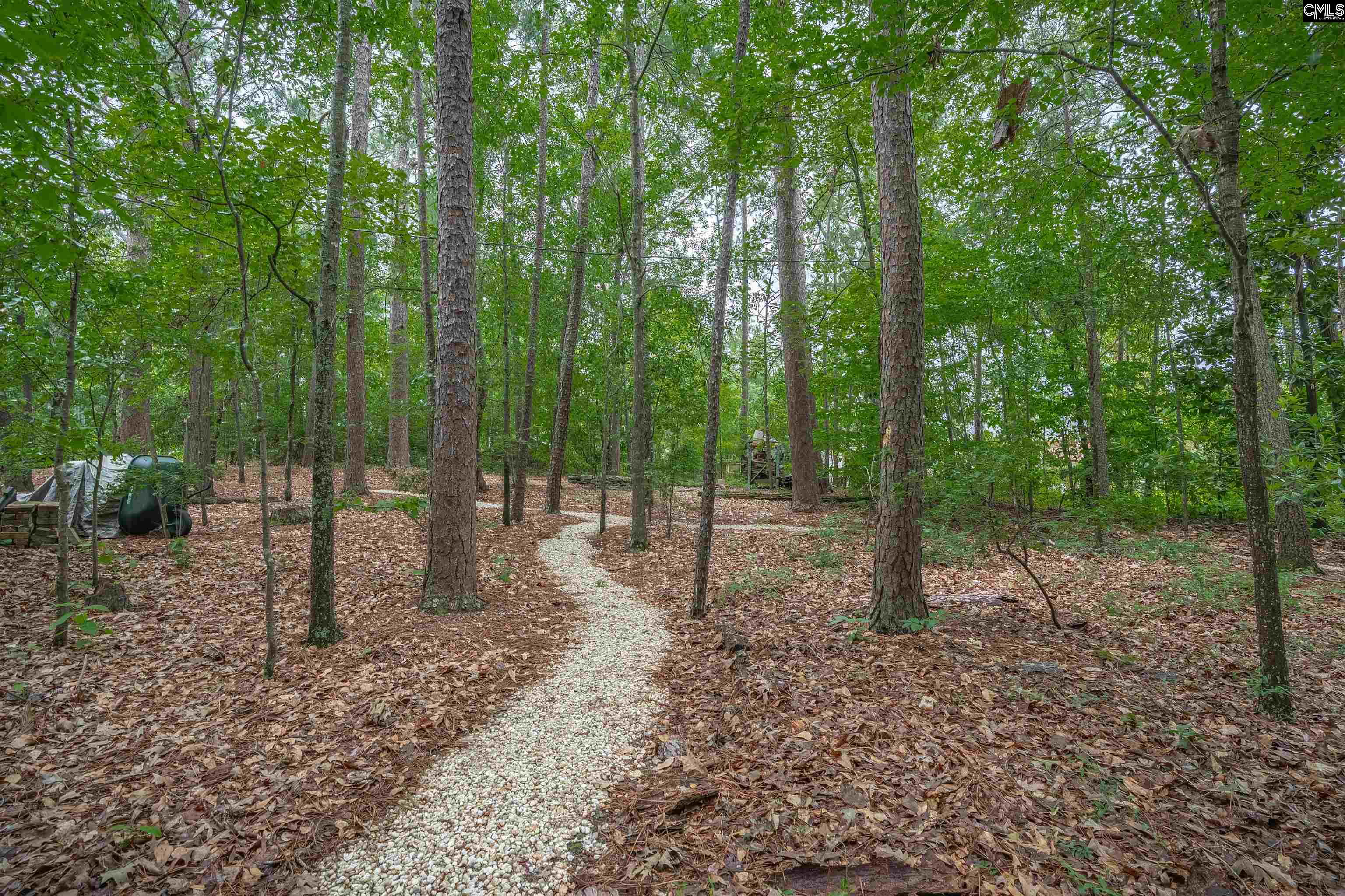 2609 Bendemeer Drive, Columbia, South Carolina image 43