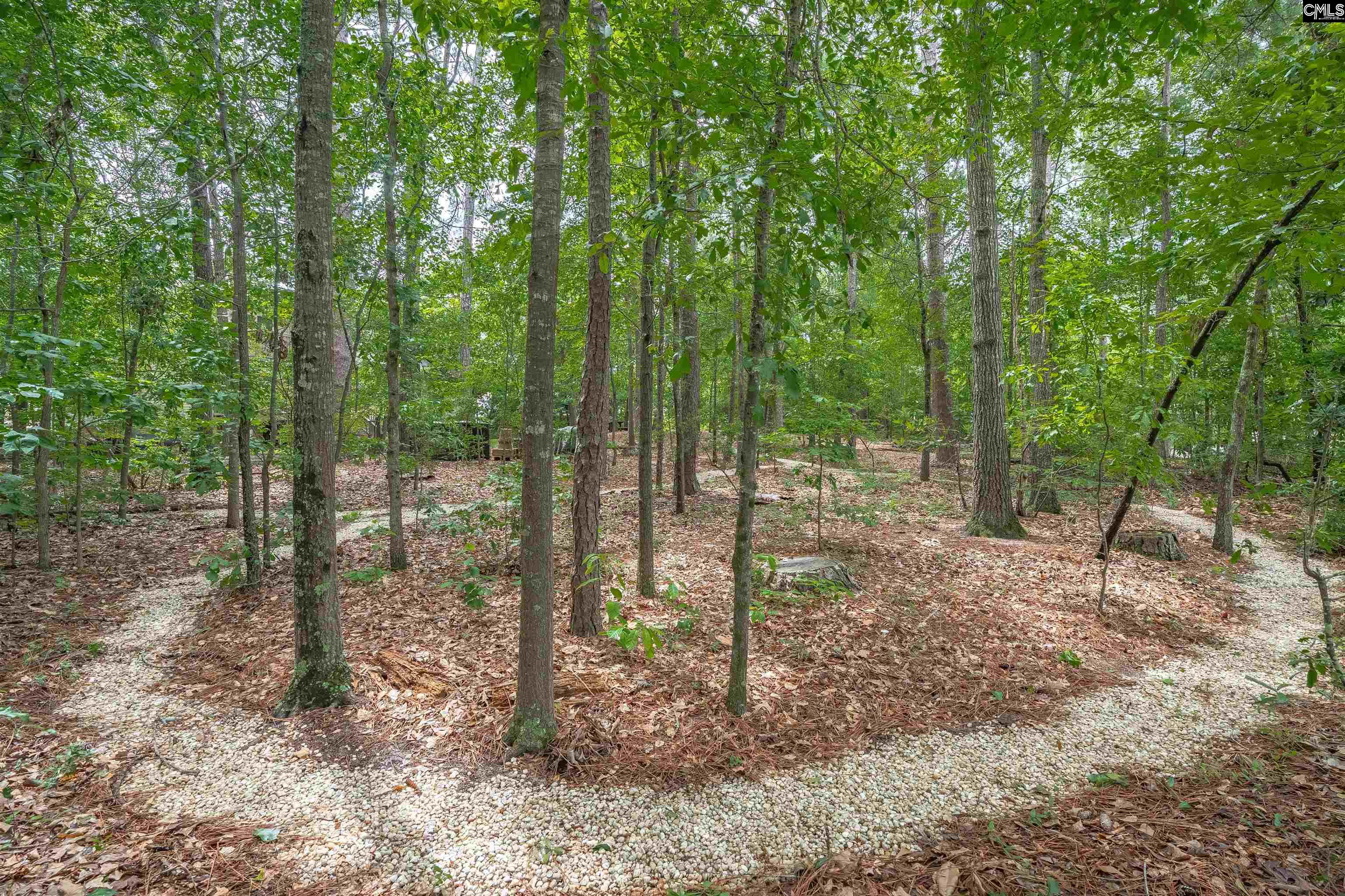 2609 Bendemeer Drive, Columbia, South Carolina image 44