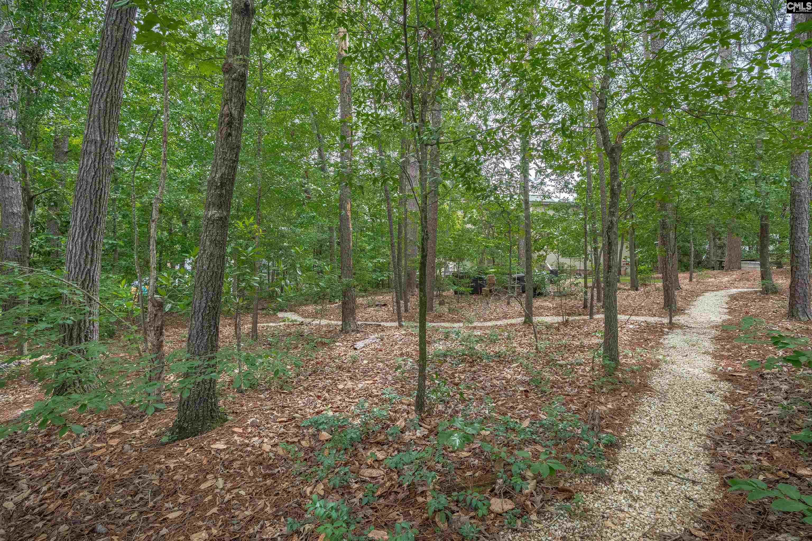 2609 Bendemeer Drive, Columbia, South Carolina image 45