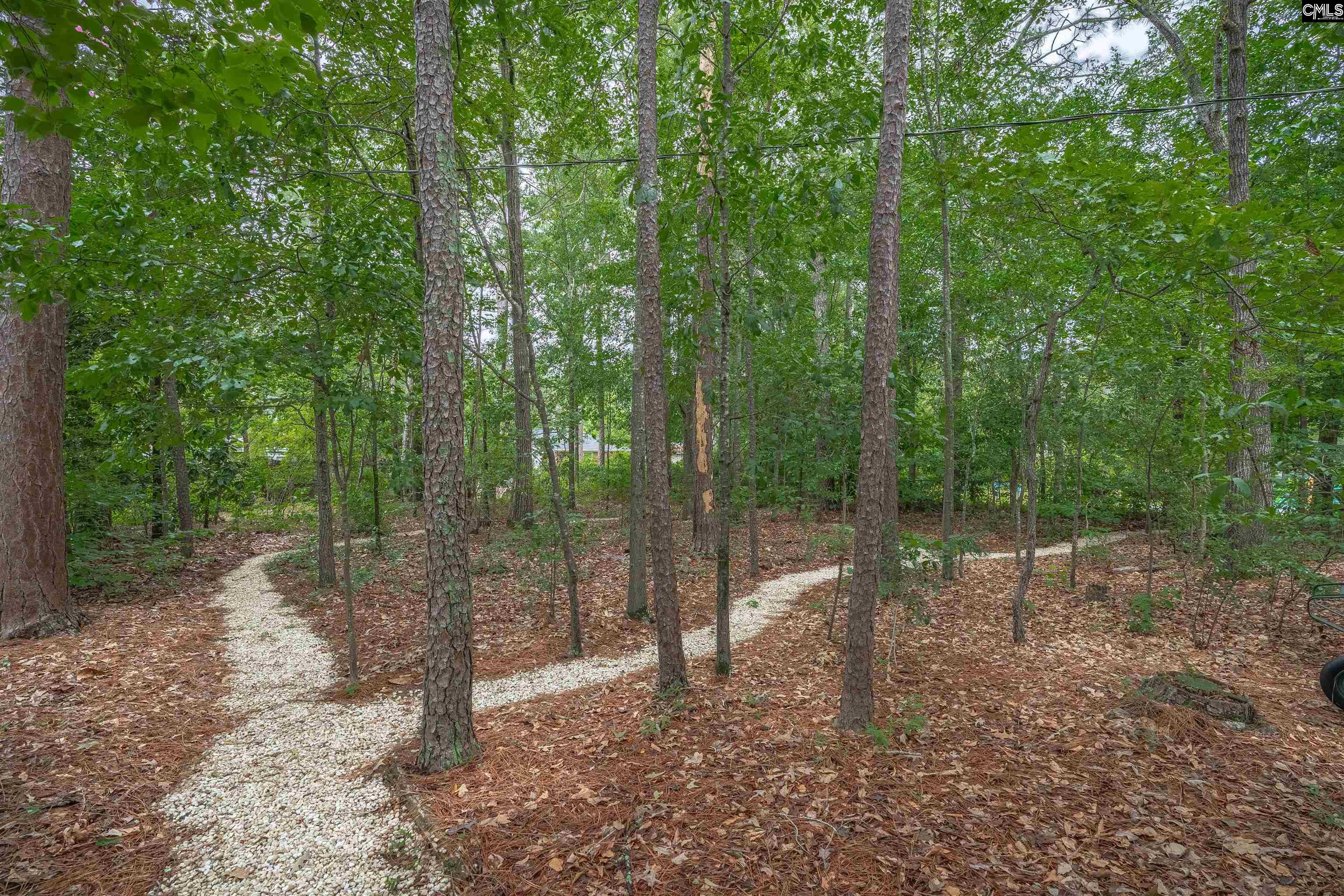 2609 Bendemeer Drive, Columbia, South Carolina image 46