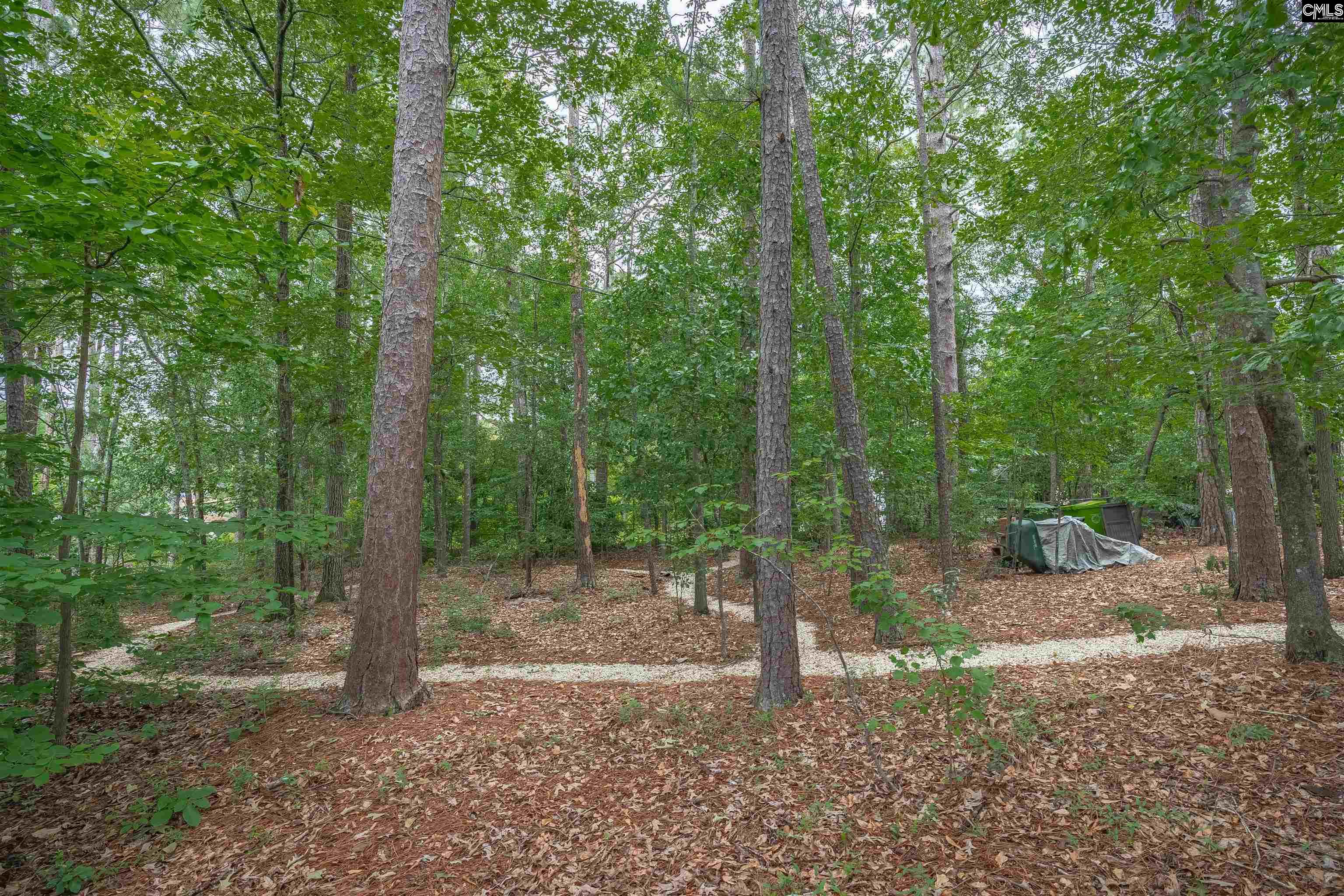 2609 Bendemeer Drive, Columbia, South Carolina image 47